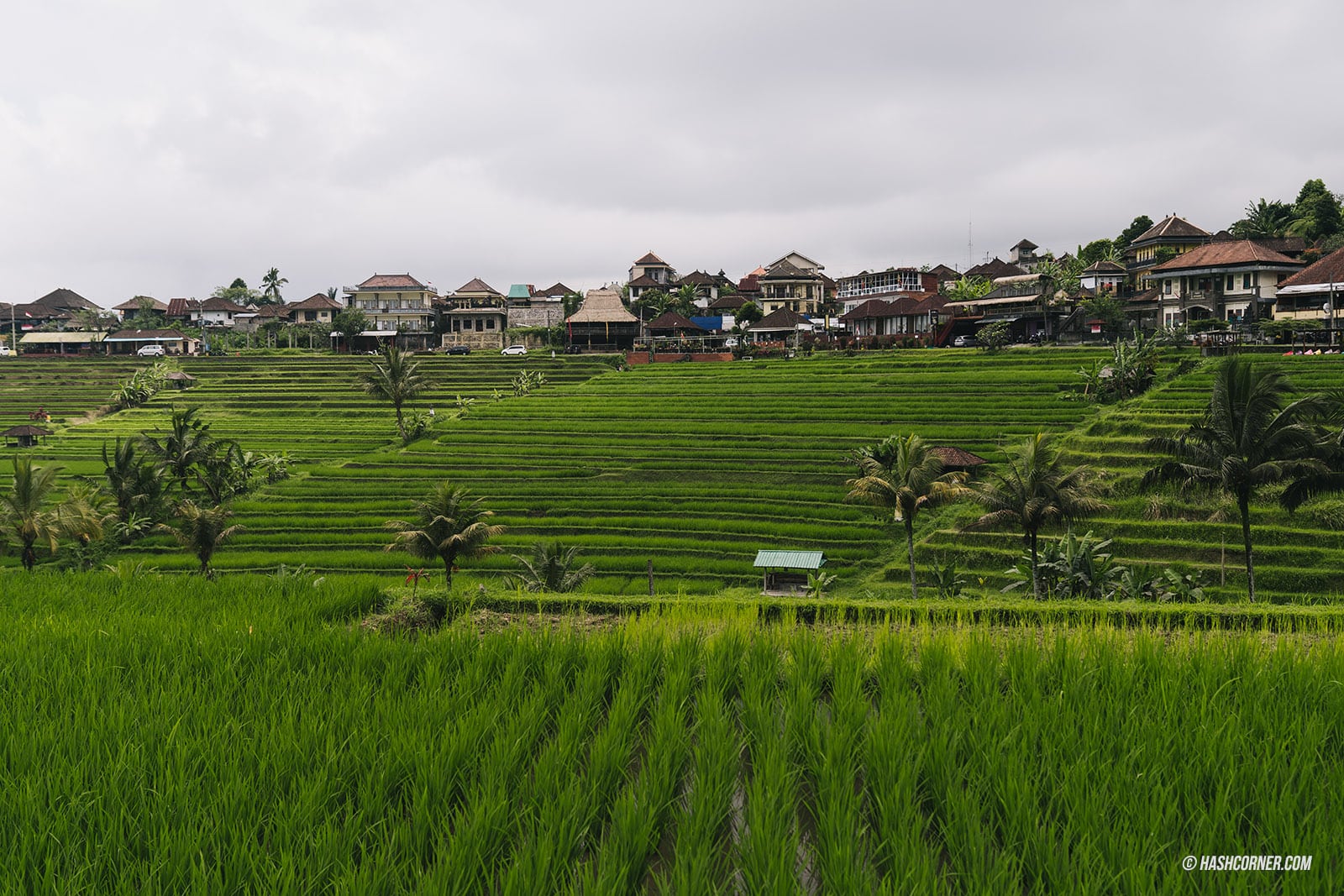 รีวิว บาหลี (Bali) x อินโดนีเซีย เที่ยวจัดเต็มครบทุกแลนด์มาร์ค