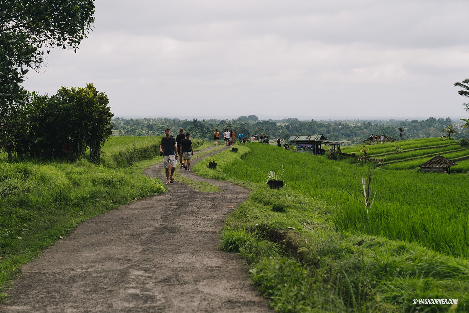 รีวิว บาหลี (Bali) x อินโดนีเซีย เที่ยวจัดเต็มครบทุกแลนด์มาร์ค