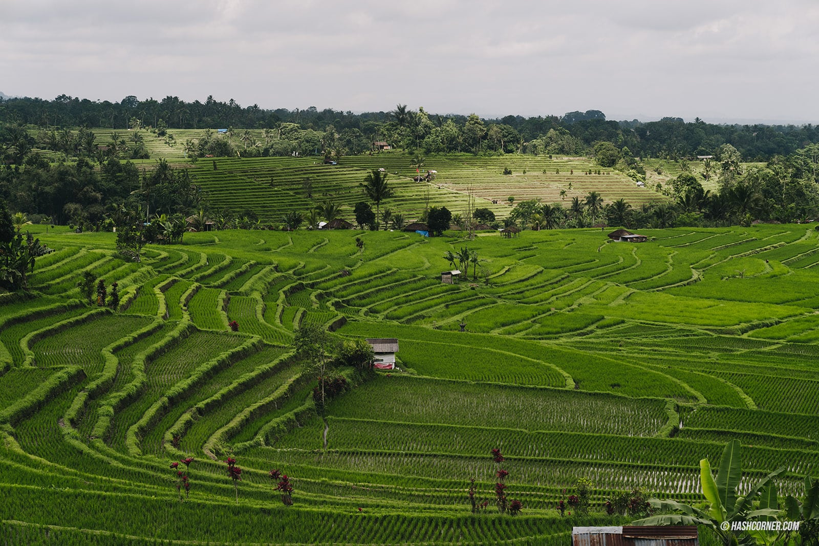 รีวิว บาหลี (Bali) x อินโดนีเซีย เที่ยวจัดเต็มครบทุกแลนด์มาร์ค