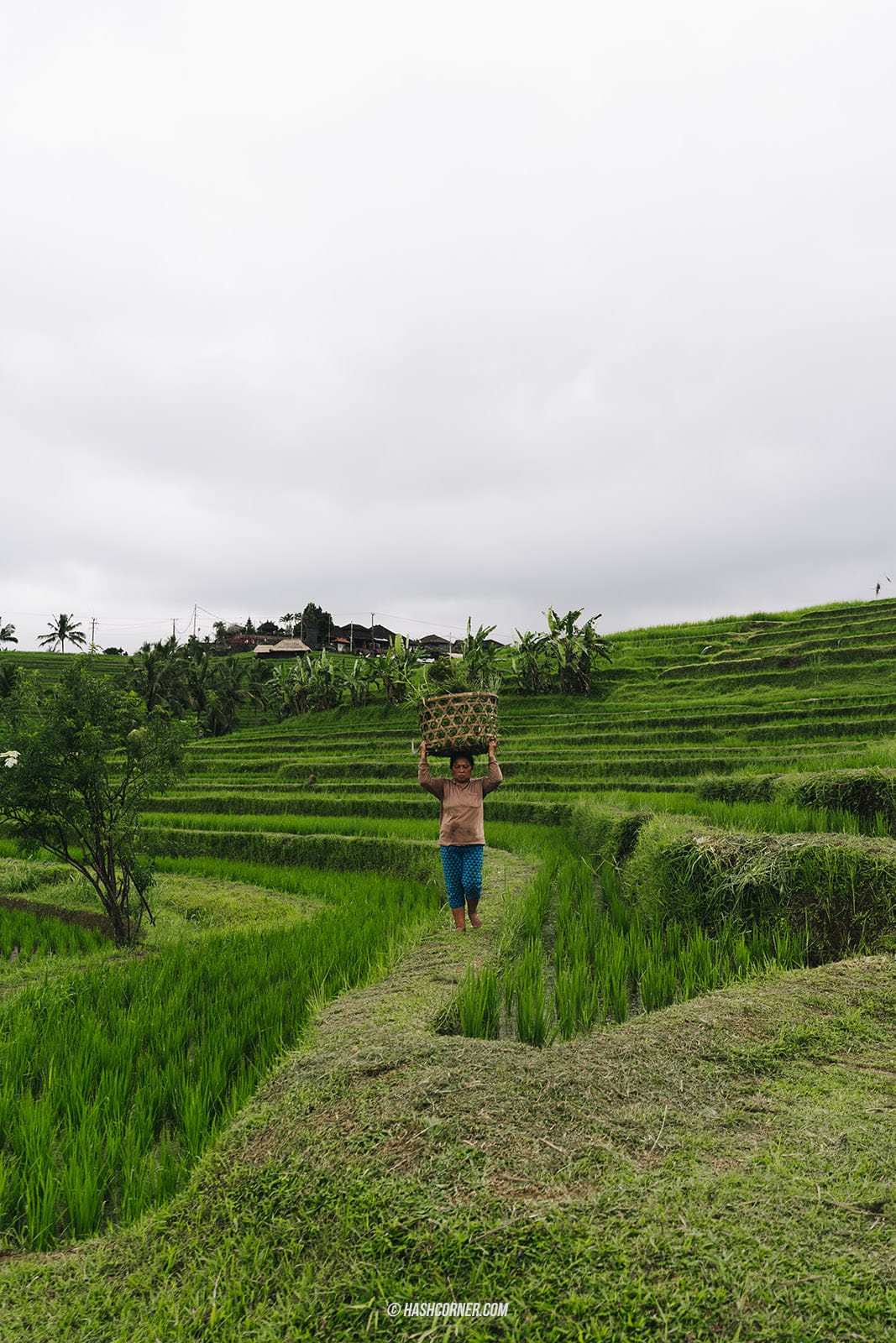 รีวิว บาหลี (Bali) x อินโดนีเซีย เที่ยวจัดเต็มครบทุกแลนด์มาร์ค