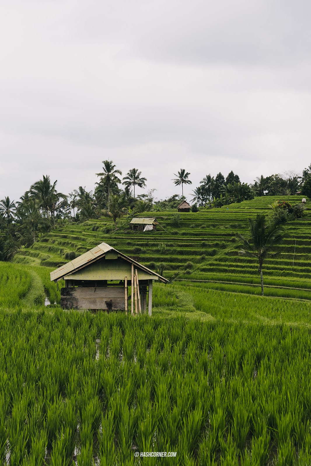 รีวิว บาหลี (Bali) x อินโดนีเซีย เที่ยวจัดเต็มครบทุกแลนด์มาร์ค