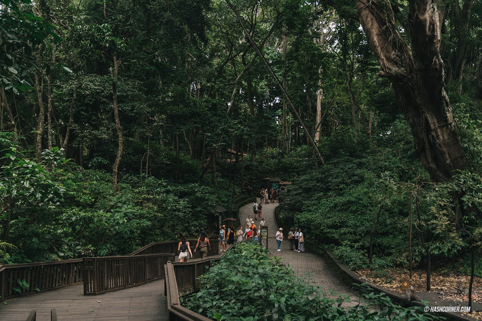 รีวิว บาหลี (Bali) x อินโดนีเซีย เที่ยวจัดเต็มครบทุกแลนด์มาร์ค