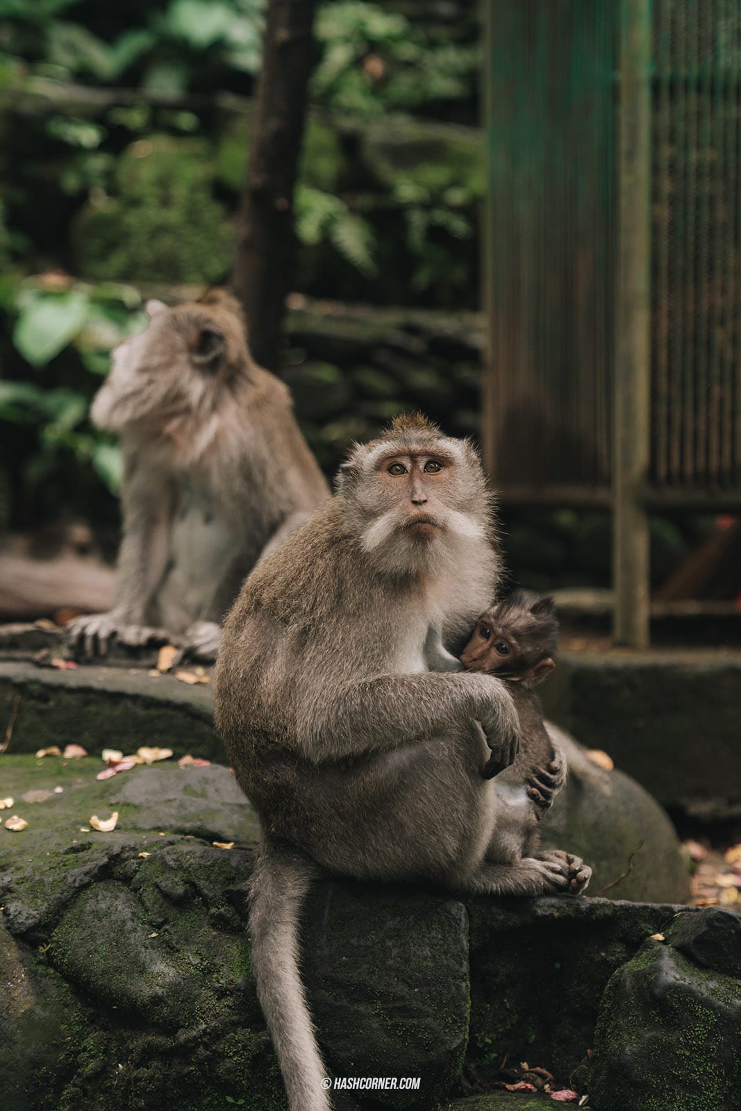 รีวิว บาหลี (Bali) x อินโดนีเซีย เที่ยวจัดเต็มครบทุกแลนด์มาร์ค