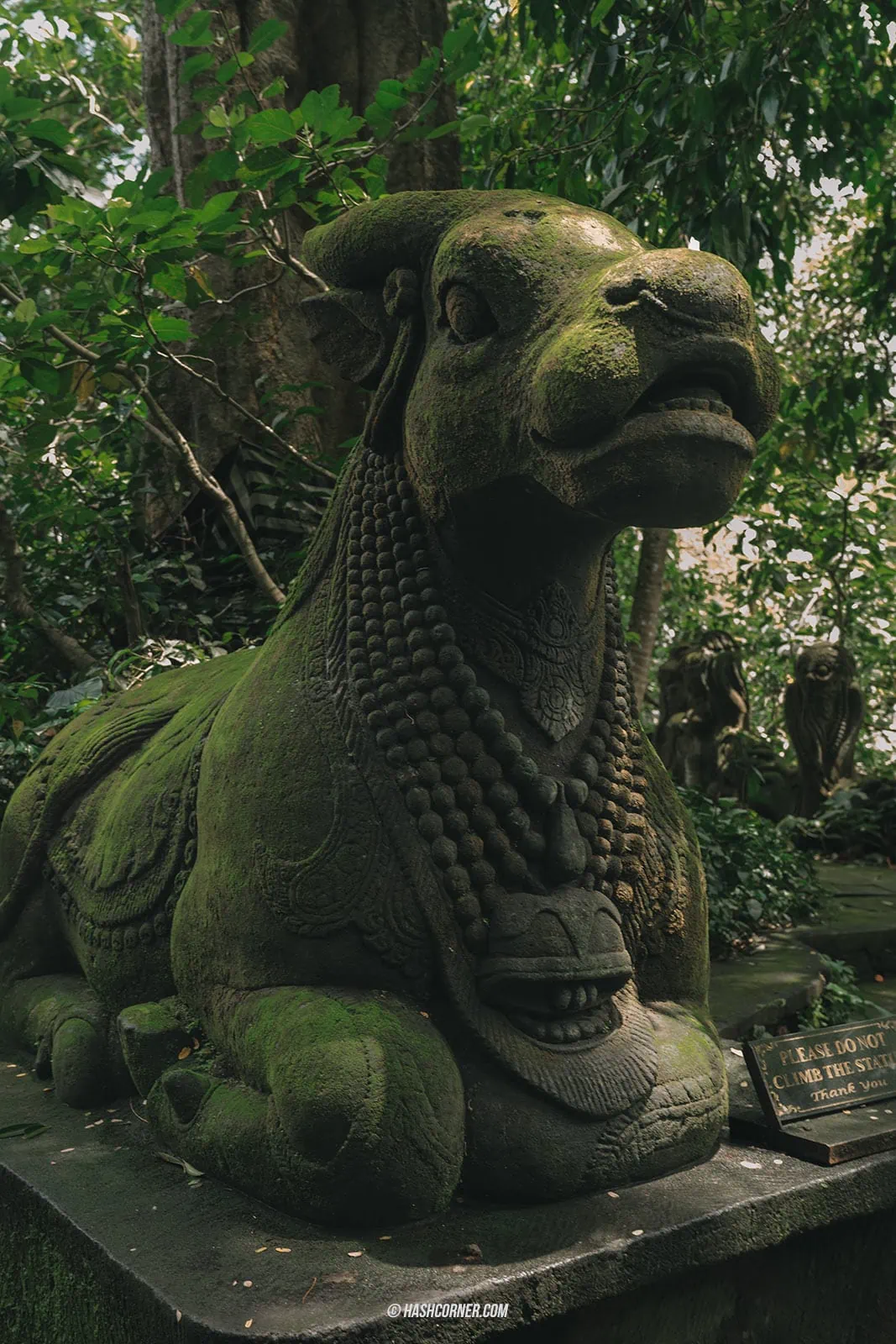 รีวิว อูบุด (Ubud) x บาหลี เที่ยวป่าลิง นาขั้นบันได และวัดศักดิ์สิทธิ์