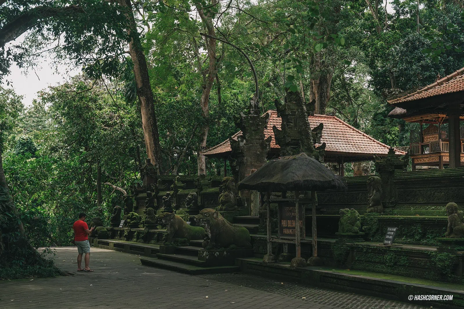 รีวิว อูบุด (Ubud) x บาหลี เที่ยวป่าลิง นาขั้นบันได และวัดศักดิ์สิทธิ์