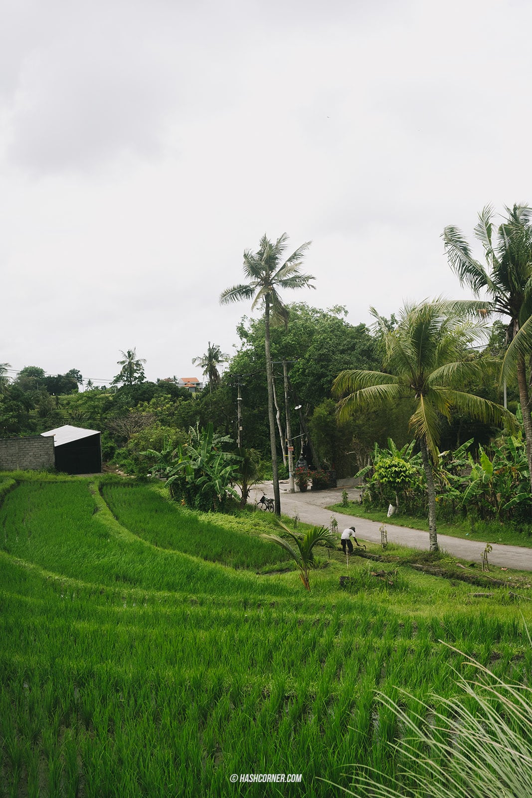 รีวิว บาหลี (Bali) x อินโดนีเซีย เที่ยวจัดเต็มครบทุกแลนด์มาร์ค