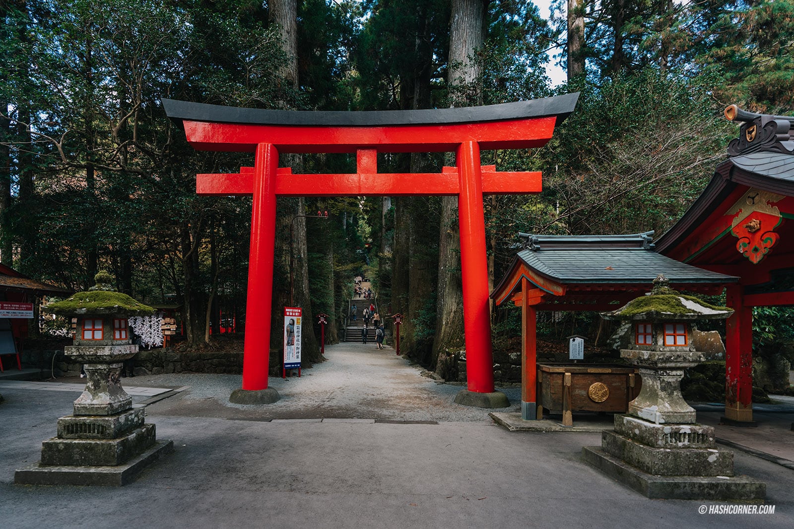 รีวิว ฮาโกเน่ (Hakone) x ญี่ปุ่น เที่ยวเมืองภูเขาไฟทะเลสาบ