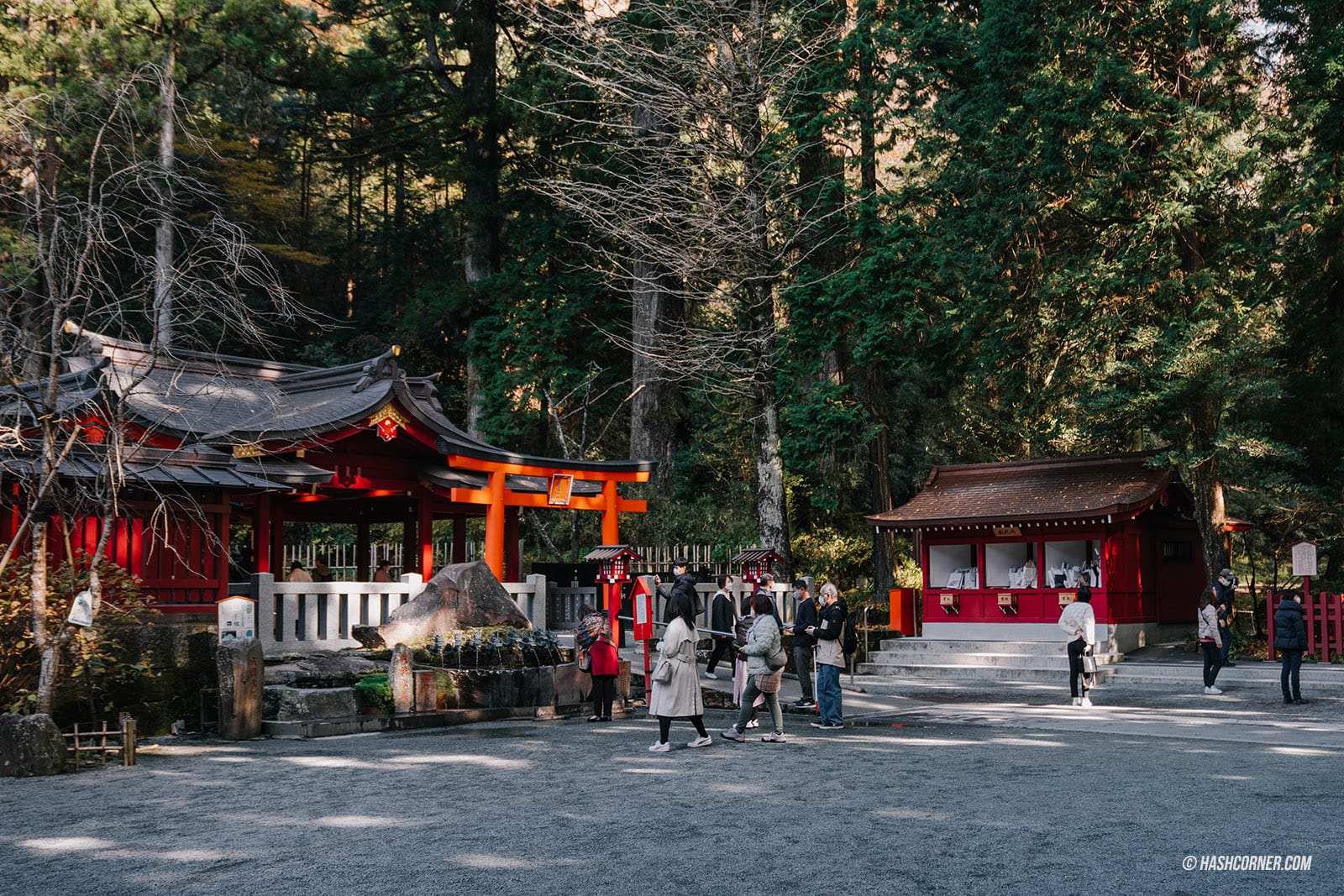 รีวิว ฮาโกเน่ (Hakone) x ญี่ปุ่น เที่ยวเมืองภูเขาไฟทะเลสาบ