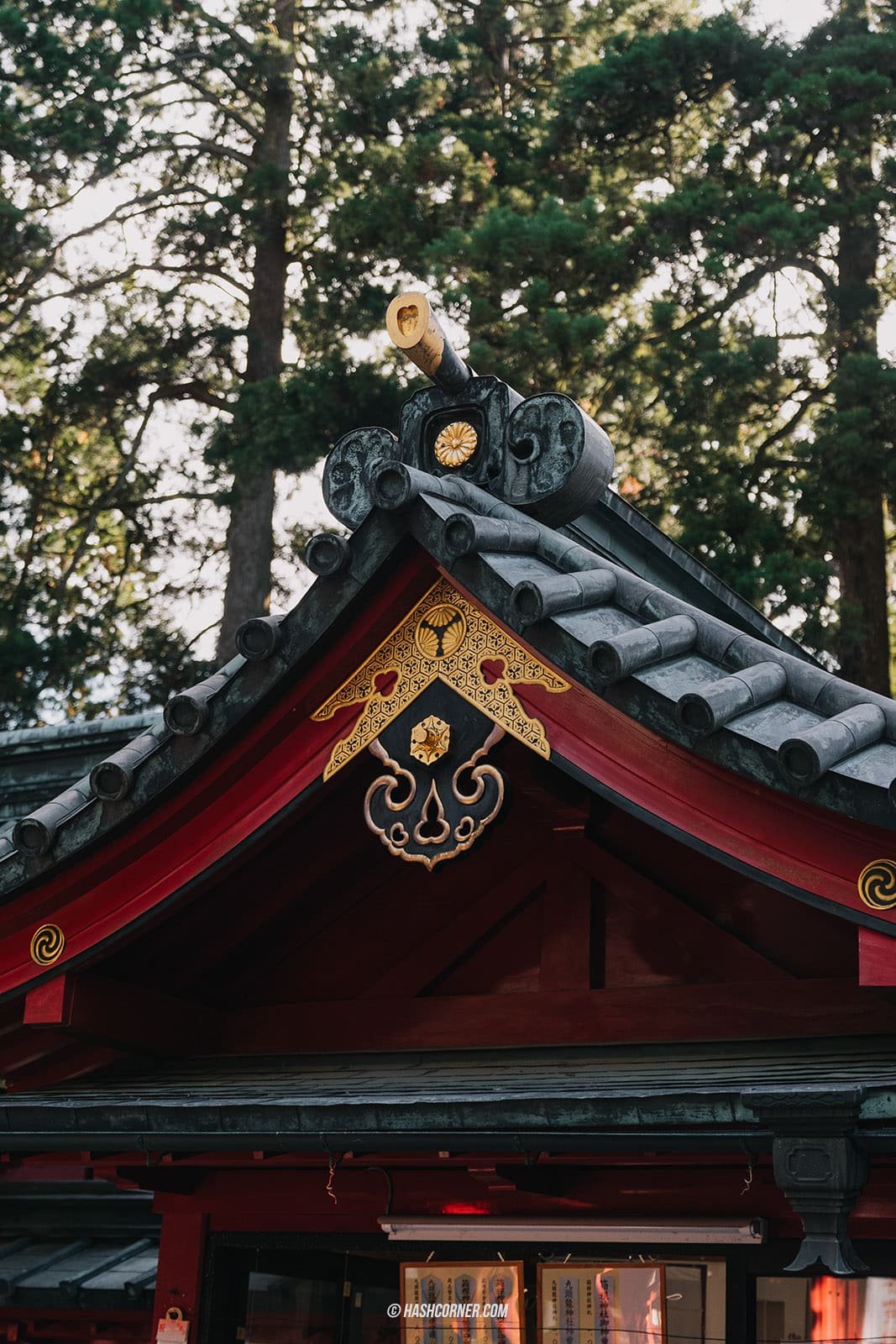 รีวิว ฮาโกเน่ (Hakone) x ญี่ปุ่น เที่ยวเมืองภูเขาไฟทะเลสาบ