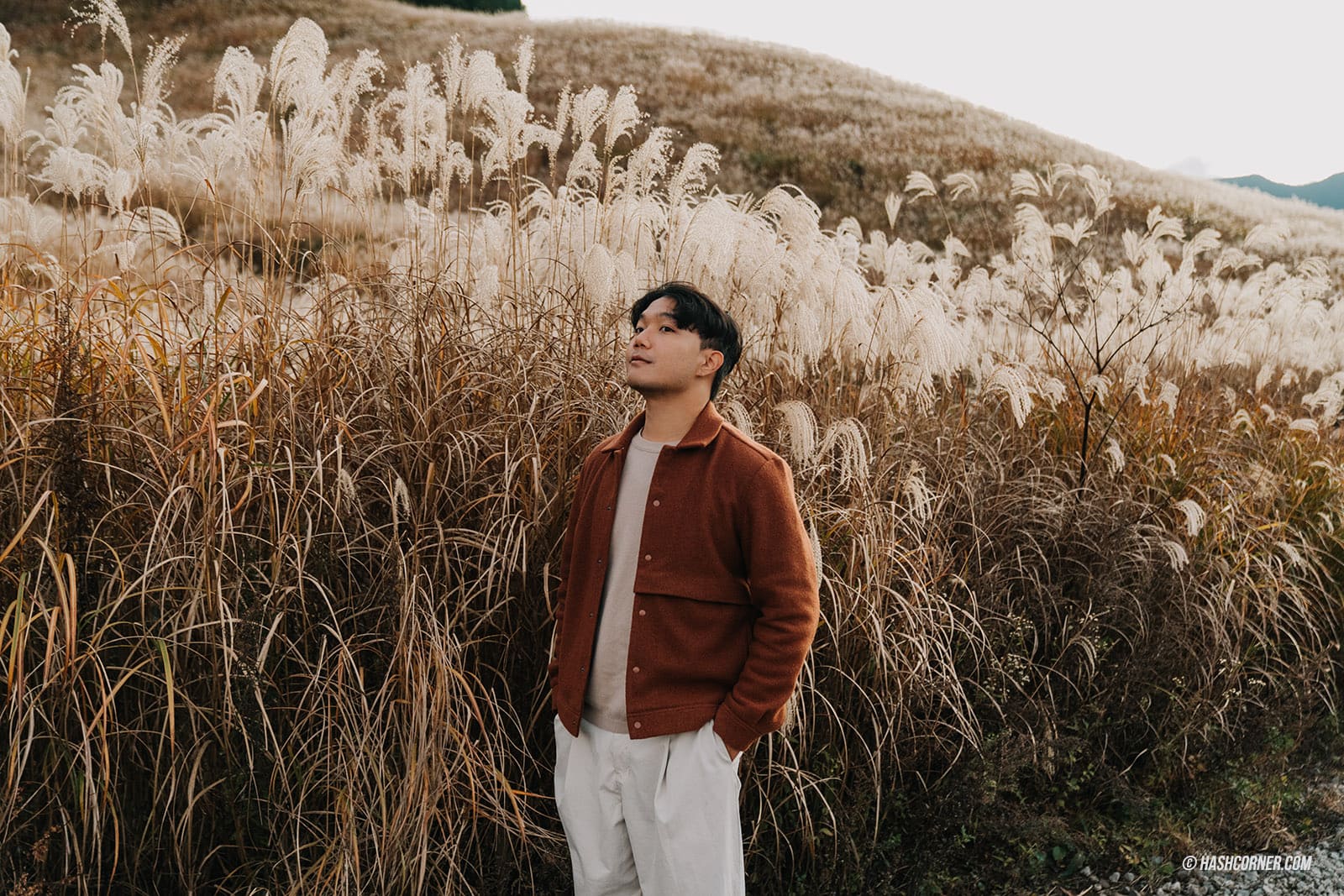 รีวิว ทุ่งหญ้าซูซูกิแห่งเซนโกคุฮาระ (Sengokuhara Susuki Grass Fields) x ฮาโกเน่