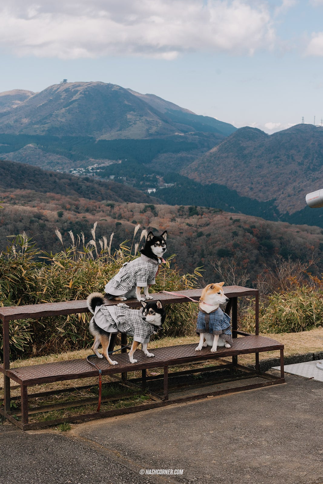 รีวิว ฮาโกเน่ (Hakone) x ญี่ปุ่น เที่ยวเมืองภูเขาไฟทะเลสาบ
