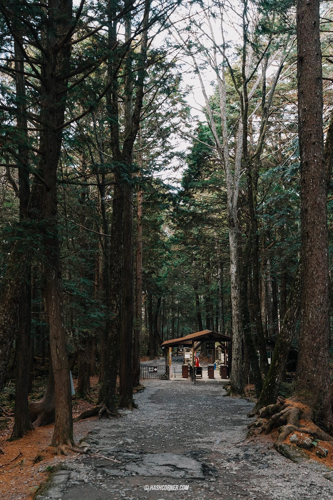 รีวิว คาวากุจิโกะ (Kawaguchiko) x ญี่ปุ่น ตามล่าต้าวภูเขาไฟฟูจิ 🗻