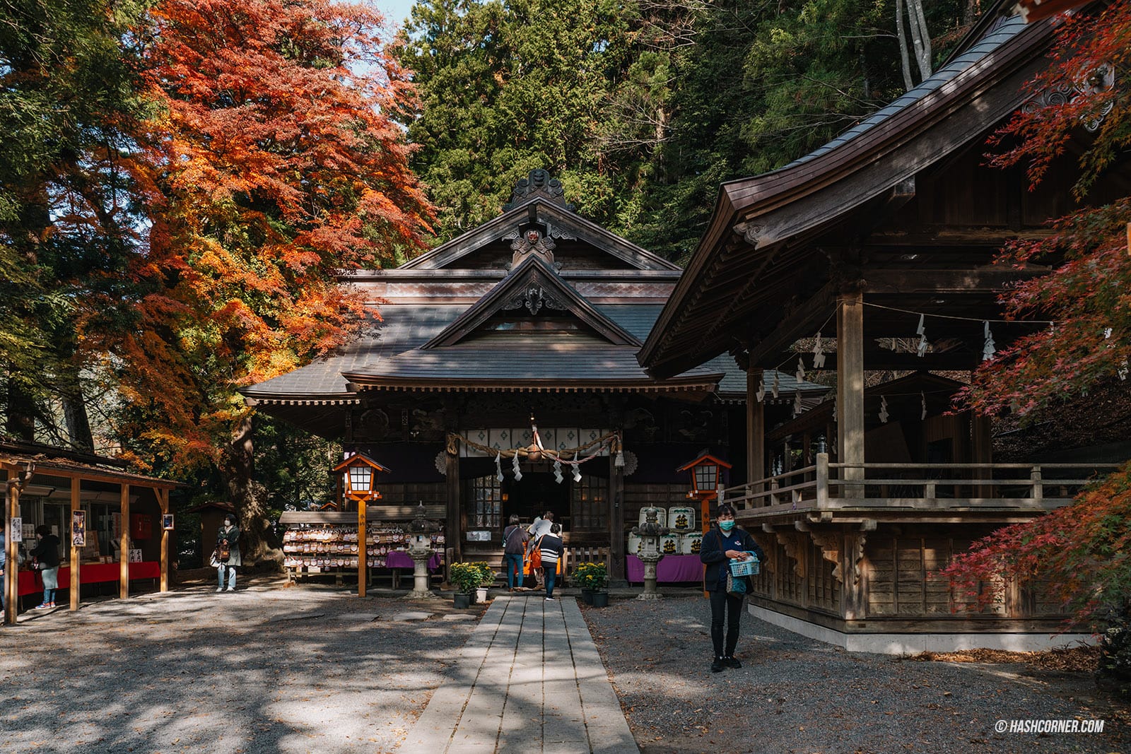 รีวิว คาวากุจิโกะ (Kawaguchiko) x ญี่ปุ่น ตามล่าต้าวภูเขาไฟฟูจิ 🗻