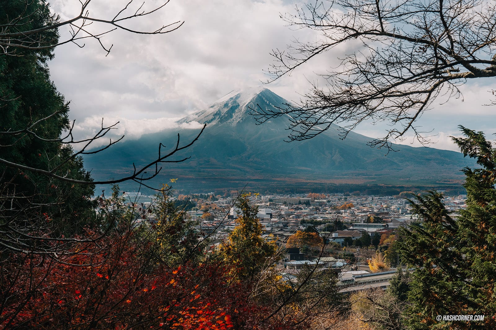 รีวิว คาวากุจิโกะ (Kawaguchiko) x ญี่ปุ่น ตามล่าต้าวภูเขาไฟฟูจิ 🗻