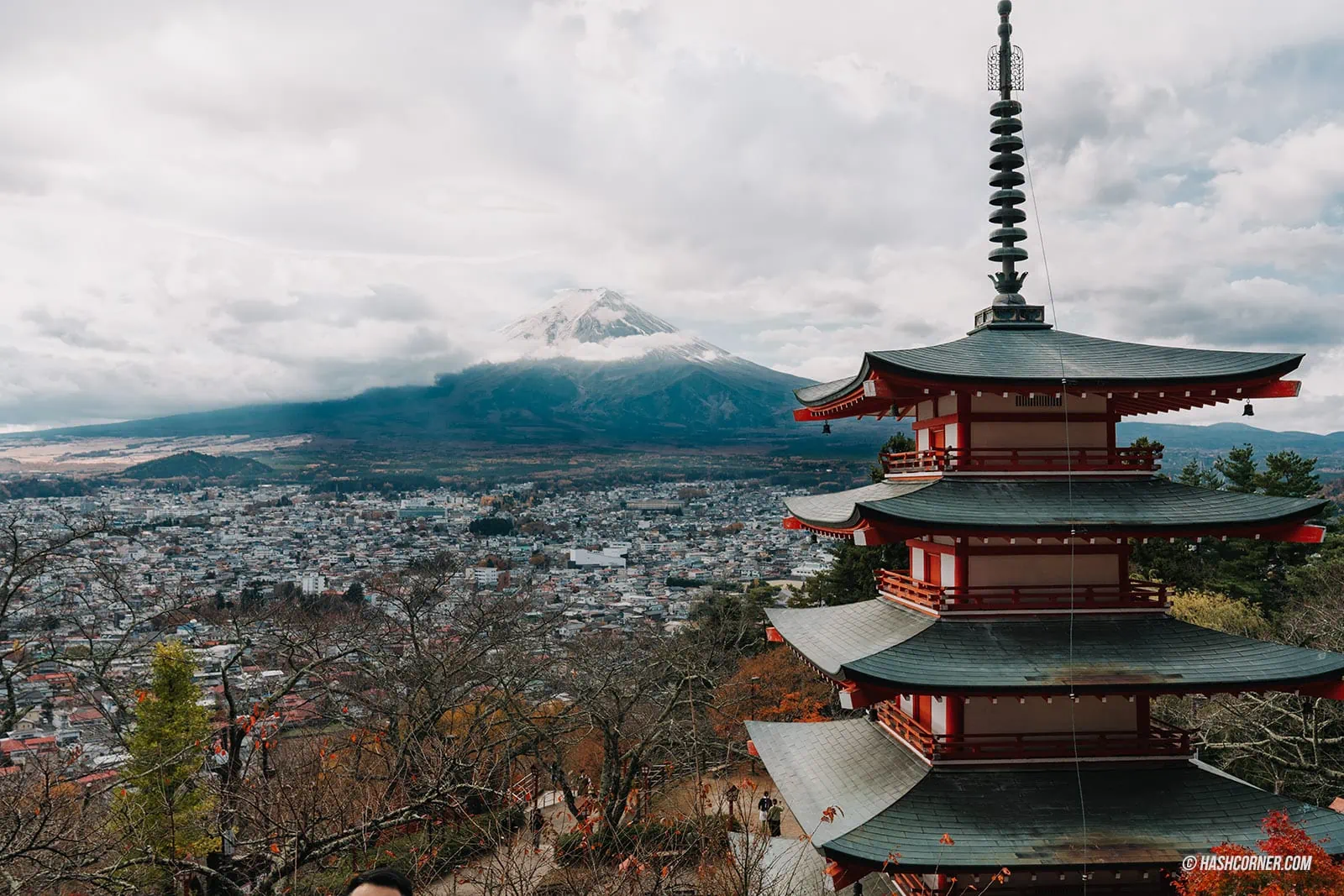 Kawaguchiko Travel Review: Chasing the Mount Fuji