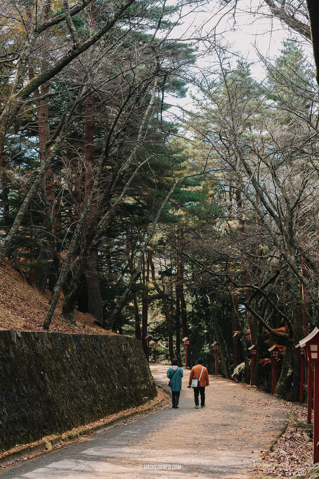 รีวิว คาวากุจิโกะ (Kawaguchiko) x ญี่ปุ่น ตามล่าต้าวภูเขาไฟฟูจิ 🗻