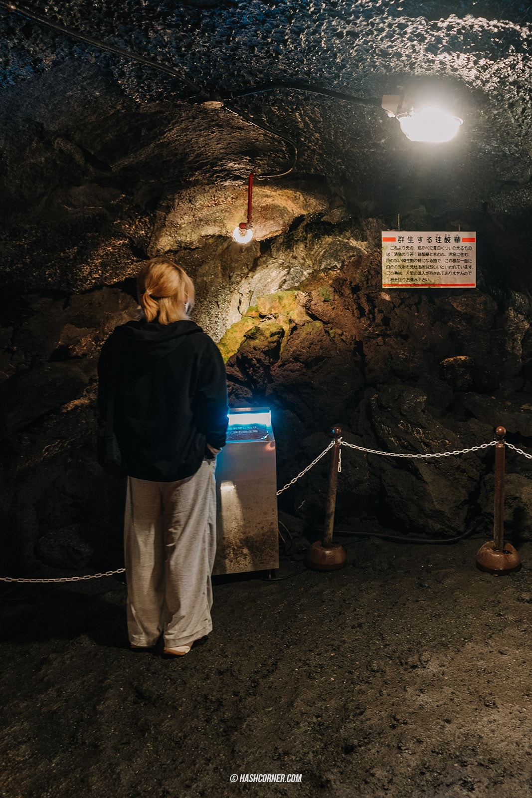 รีวิว คาวากุจิโกะ (Kawaguchiko) x ญี่ปุ่น ตามล่าต้าวภูเขาไฟฟูจิ 🗻