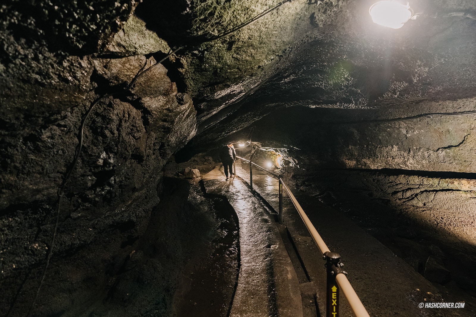  รีวิว อาโอกิงาฮาระ (Aokigahara) x คาวากุจิโกะ เที่ยวป่าฆ่าตัวตายแห่งญี่ปุ่น ถ้ำน้ำแข็งและถ้ำลม