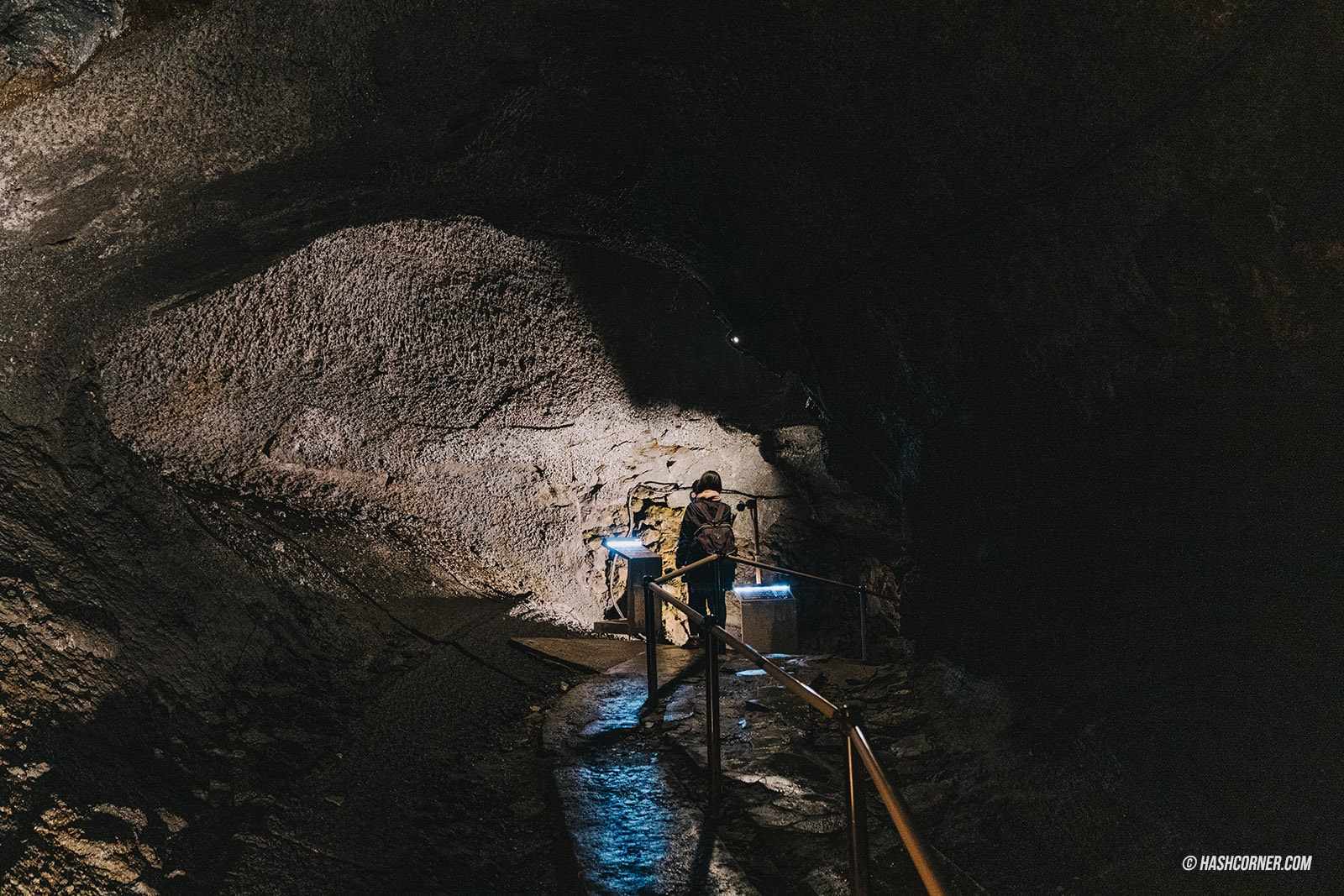  รีวิว อาโอกิงาฮาระ (Aokigahara) x คาวากุจิโกะ เที่ยวป่าฆ่าตัวตายแห่งญี่ปุ่น ถ้ำน้ำแข็งและถ้ำลม