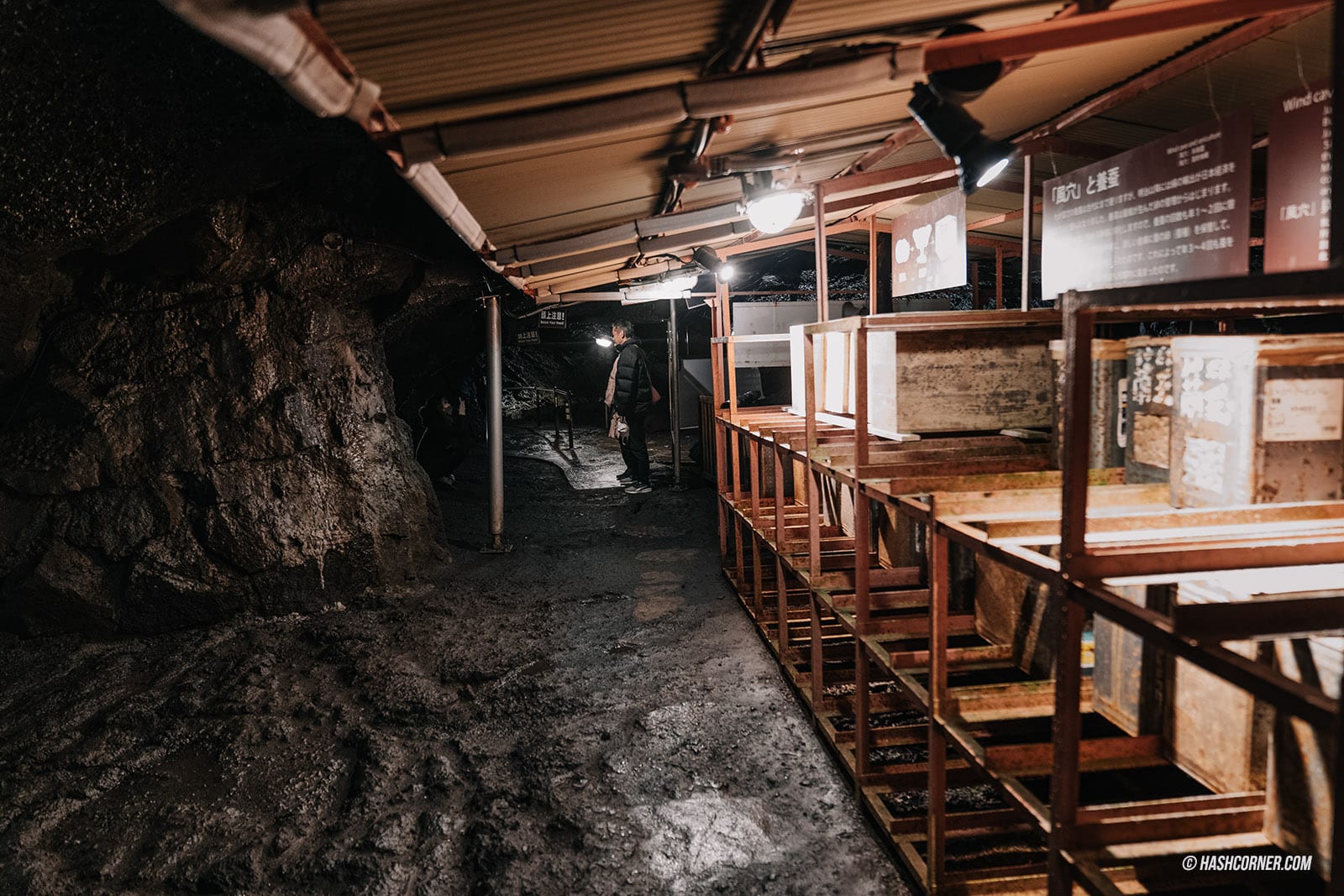 รีวิว คาวากุจิโกะ (Kawaguchiko) x ญี่ปุ่น ตามล่าต้าวภูเขาไฟฟูจิ 🗻