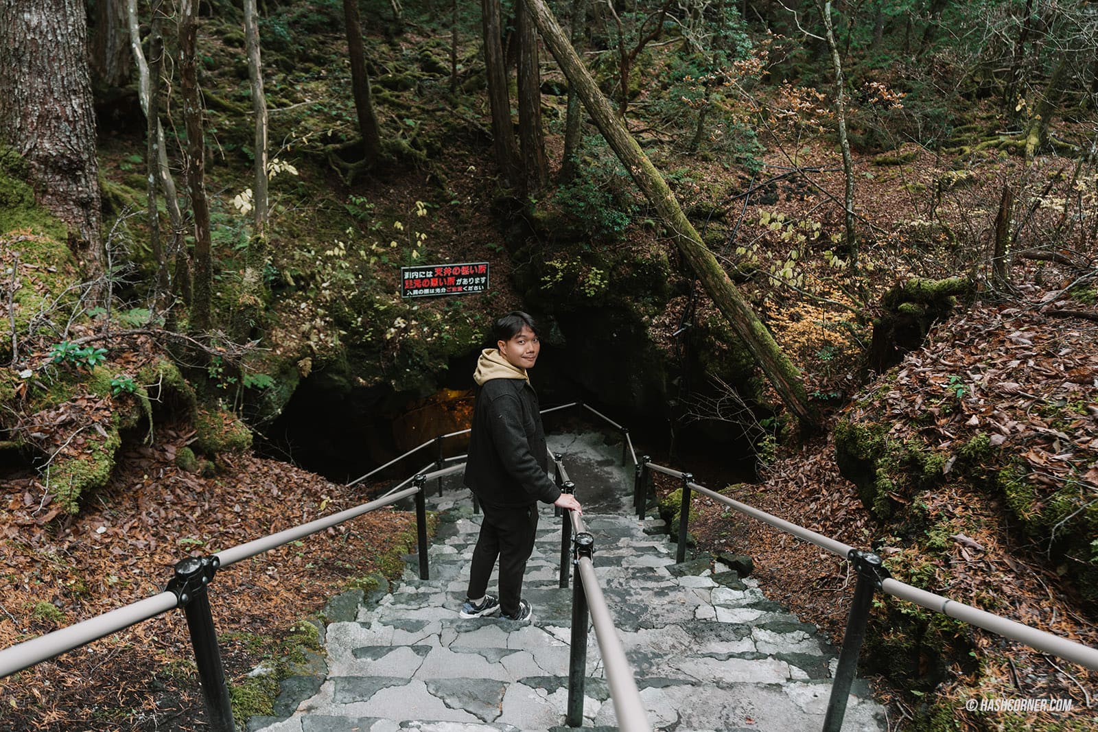  รีวิว อาโอกิงาฮาระ (Aokigahara) x คาวากุจิโกะ เที่ยวป่าฆ่าตัวตายแห่งญี่ปุ่น ถ้ำน้ำแข็งและถ้ำลม