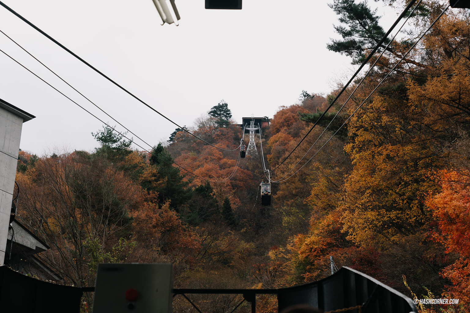 รีวิว สวนเท็นโจซัง (Tenjozan Park) x คาวากุจิโกะ ขึ้นกระเช้าลอยฟ้าชมวิว ...