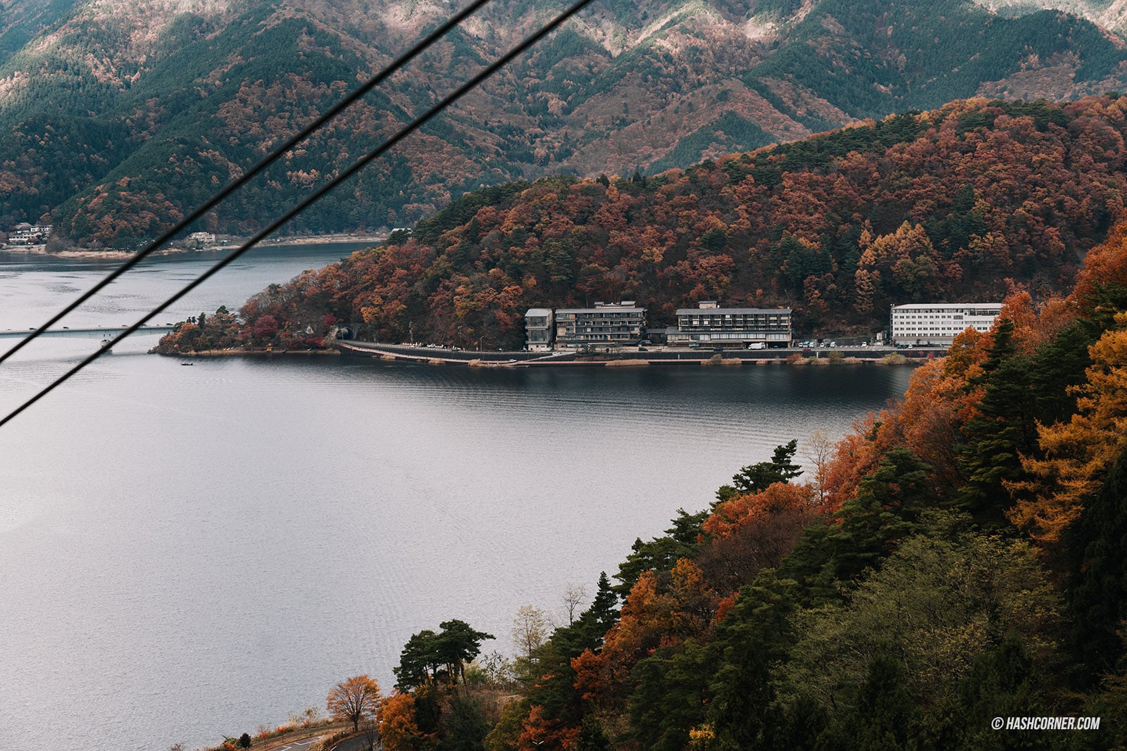 รีวิว สวนเท็นโจซัง (Tenjozan Park) x คาวากุจิโกะ ขึ้นกระเช้าลอยฟ้าชมวิวต้าวฟูจิ