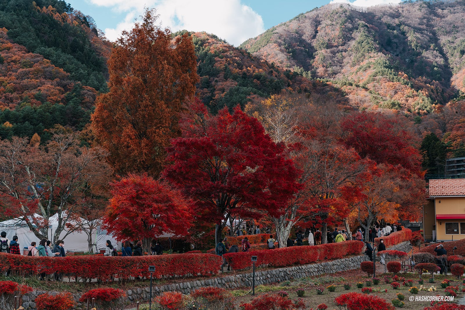 รีวิว คาวากุจิโกะ (Kawaguchiko) x ญี่ปุ่น ตามล่าต้าวภูเขาไฟฟูจิ &#x1f5fb;