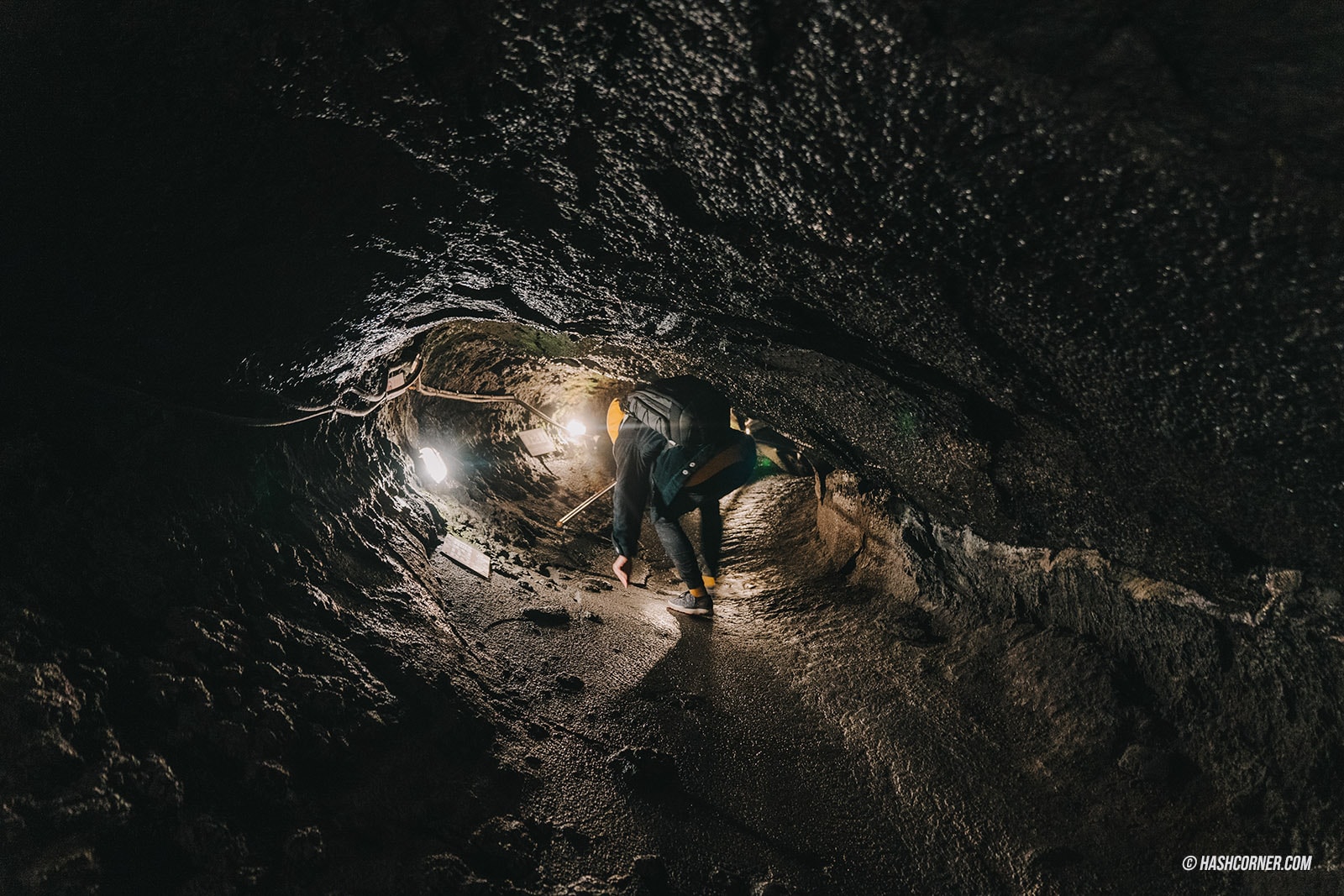 รีวิว อาโอกิงาฮาระ (Aokigahara) x คาวากุจิโกะ เที่ยวป่าฆ่าตัวตายแห่งญี่ปุ่น ถ้ำน้ำแข็งและถ้ำลม