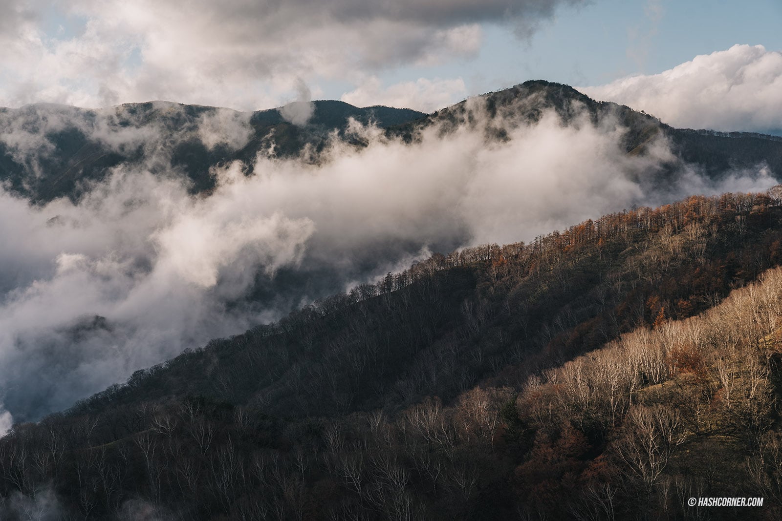 รีวิว นิกโก้ (Nikko) x ญี่ปุ่น เที่ยวเมืองเก่ามรดกโลก