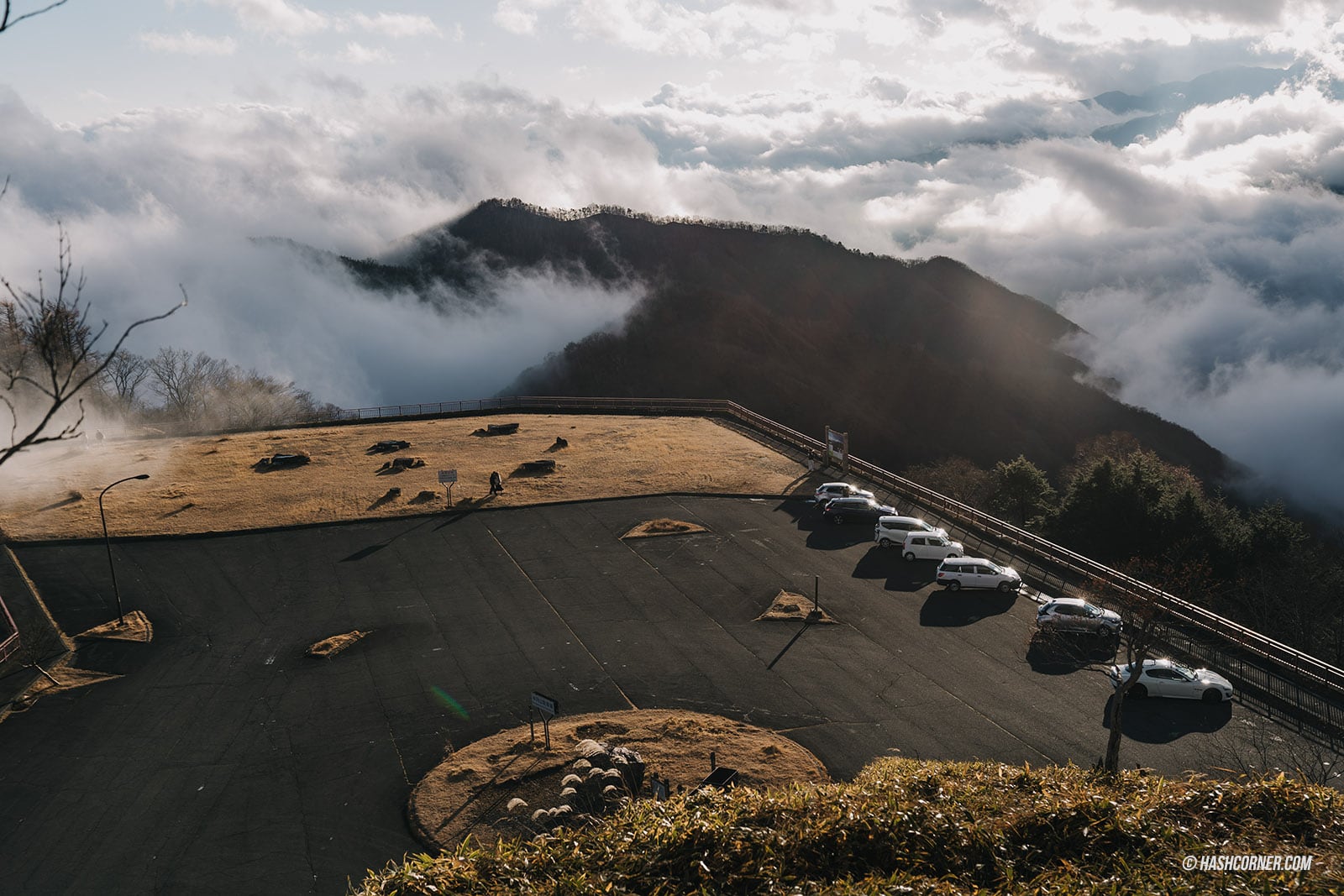 รีวิว นิกโก้ (Nikko) x ญี่ปุ่น เที่ยวเมืองเก่ามรดกโลก