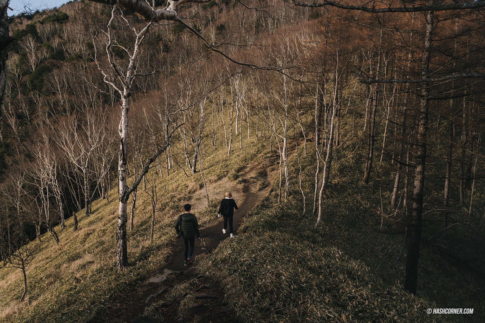 รีวิว นิกโก้ (Nikko) x ญี่ปุ่น เที่ยวเมืองเก่ามรดกโลก