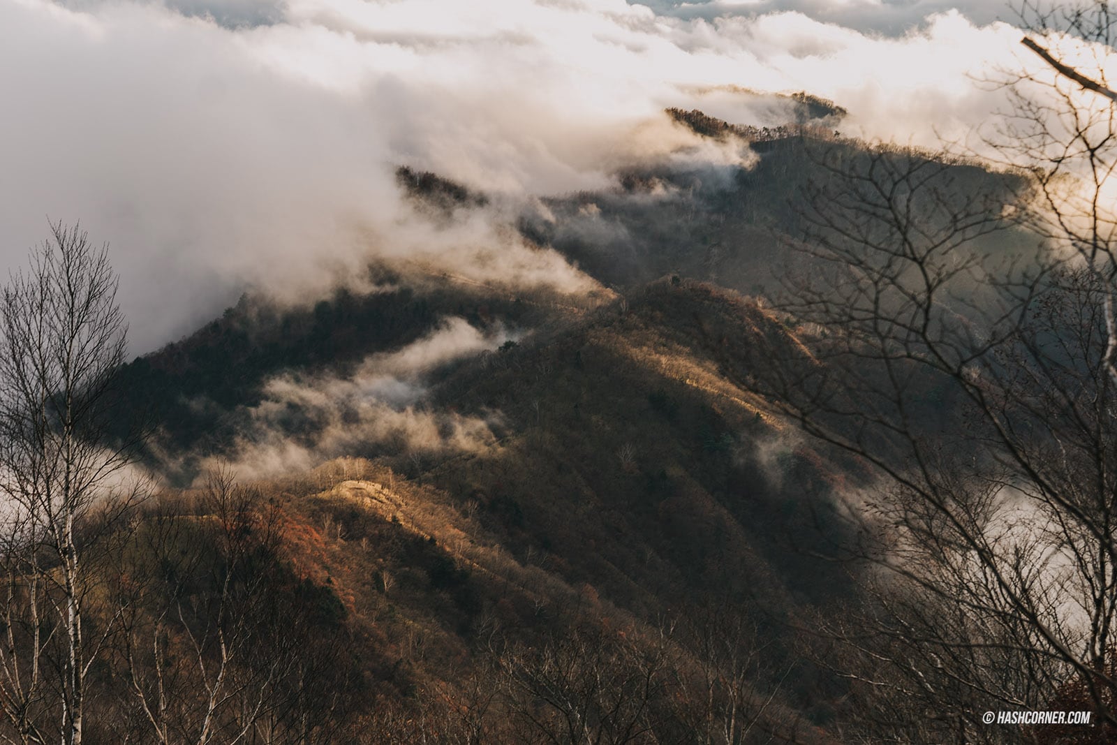 รีวิว นิกโก้ (Nikko) x ญี่ปุ่น เที่ยวเมืองเก่ามรดกโลก