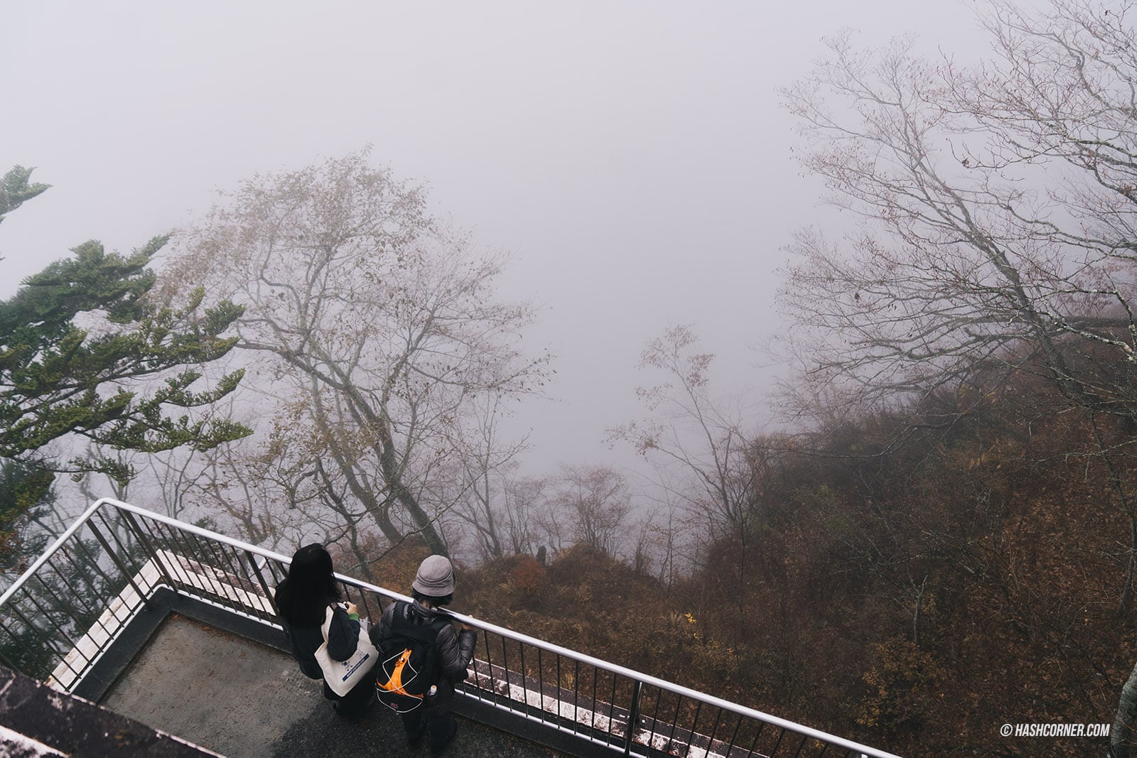 รีวิว นิกโก้ (Nikko) x ญี่ปุ่น เที่ยวเมืองเก่ามรดกโลก