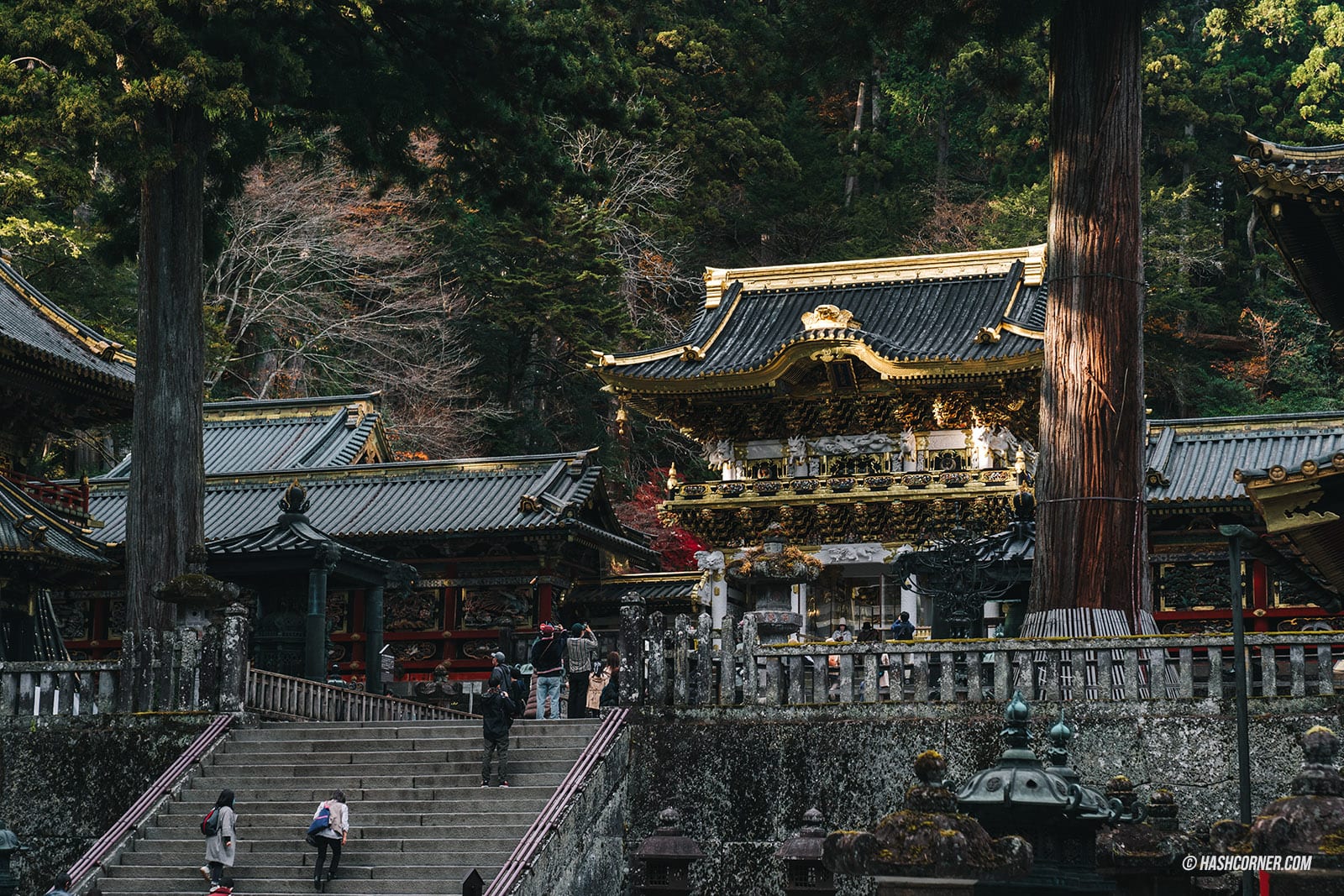 รีวิว ศาลเจ้านิกโก้โทโชกู (Nikko Toshogu Shrine) x  มรดกโลกอายุกว่า 400 ปี