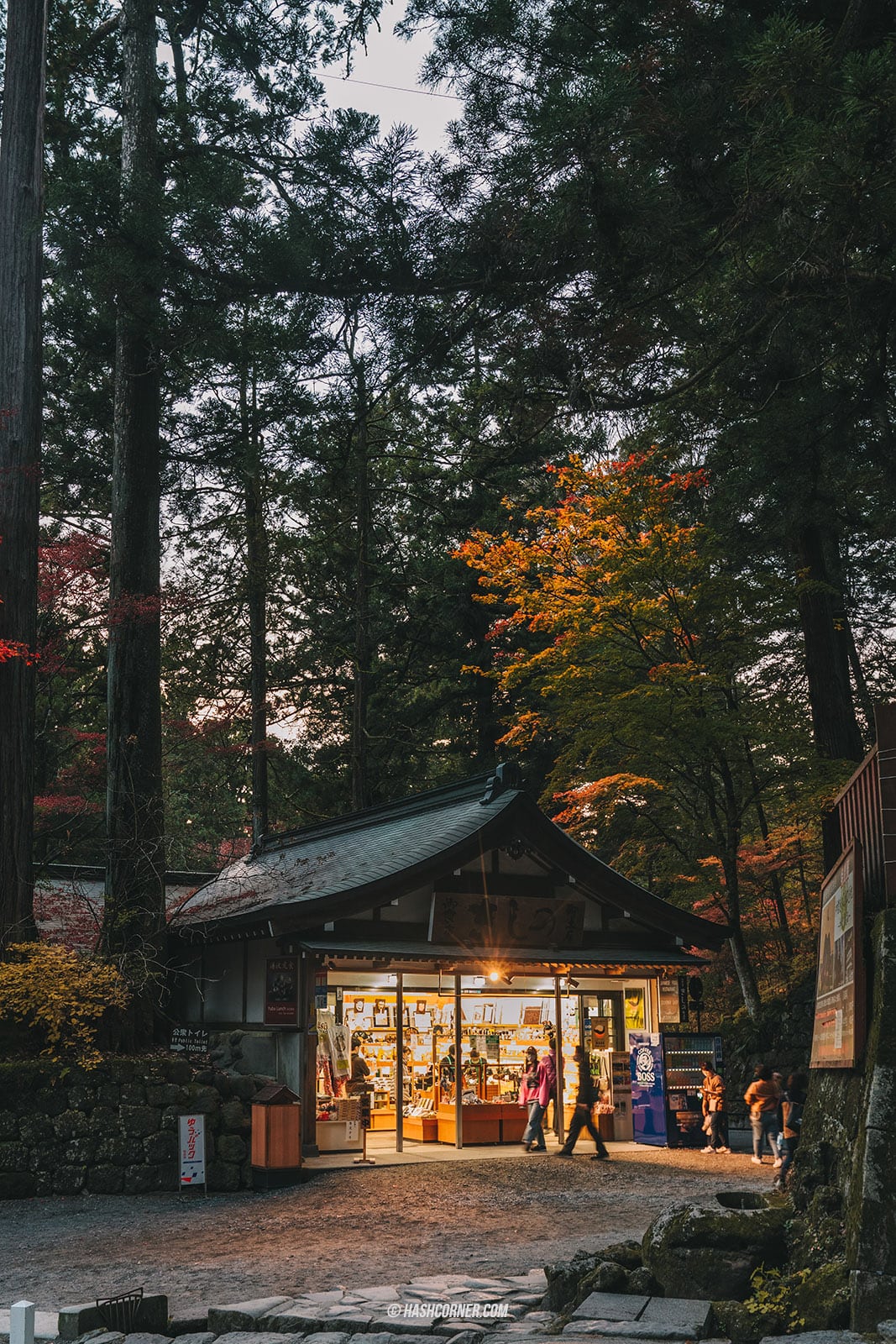 รีวิว นิกโก้ (Nikko) x ญี่ปุ่น เที่ยวเมืองเก่ามรดกโลก