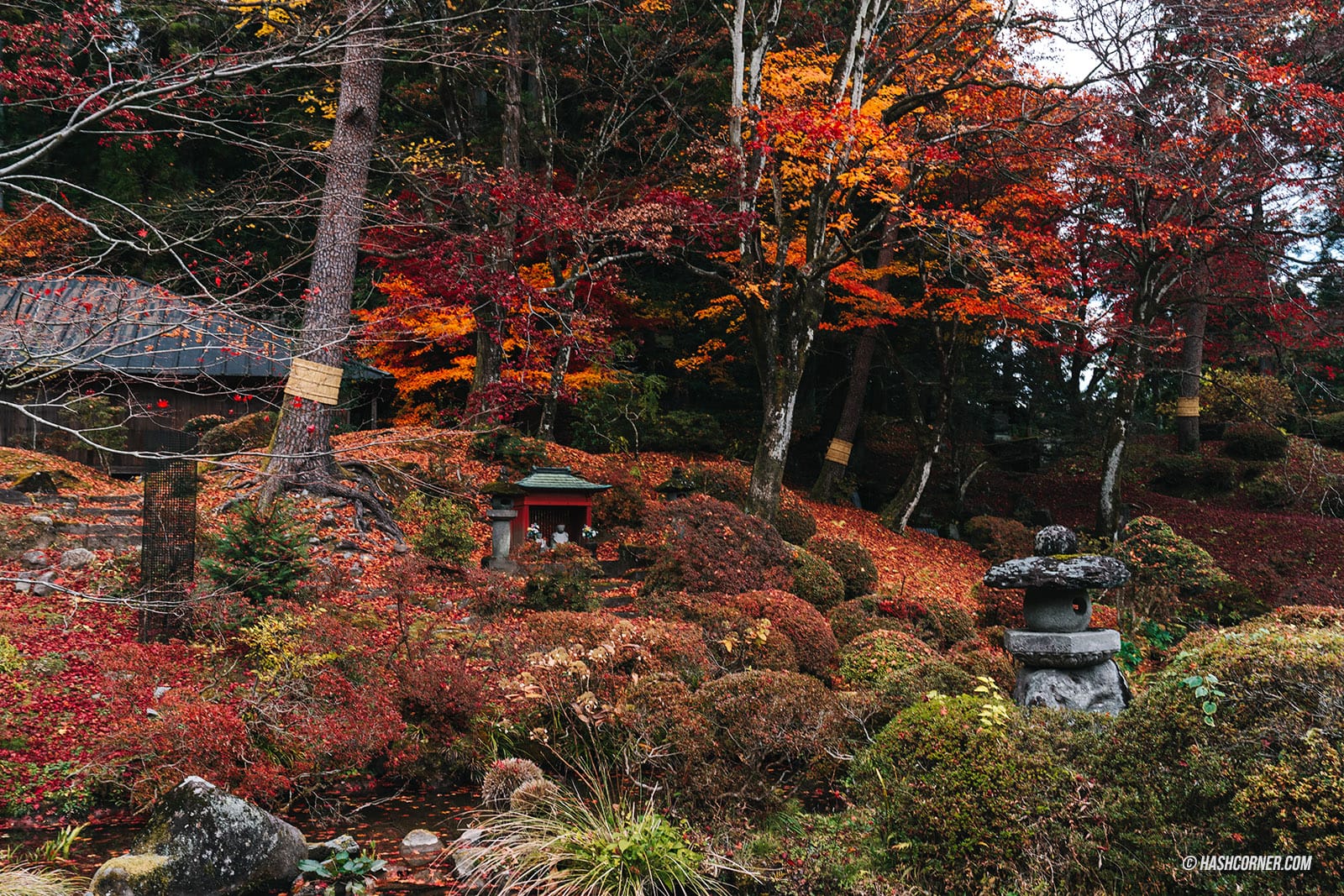 รีวิว วัดรินโนจิ (Rinnoji Temple) x นิกโก้ วัดมรดกโลก 1,250 ปี
