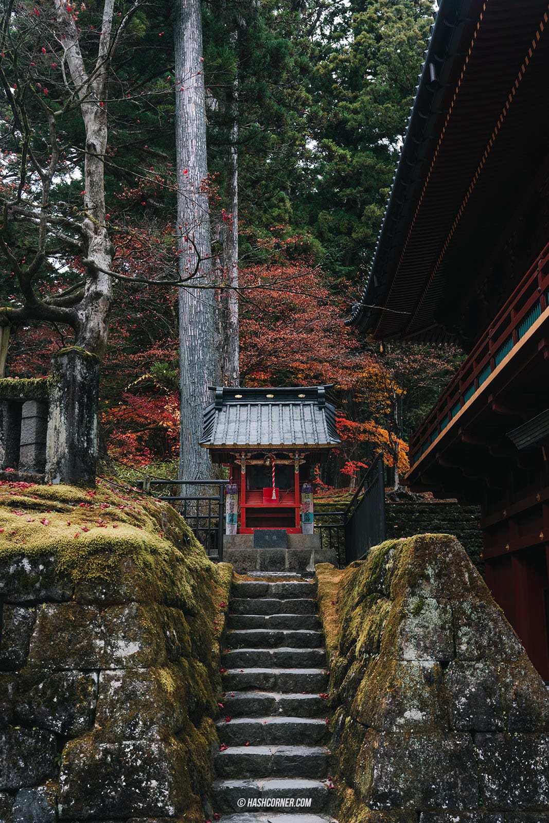 รีวิว วัดรินโนจิ (Rinnoji Temple) x นิกโก้ วัดมรดกโลก 1,250 ปี