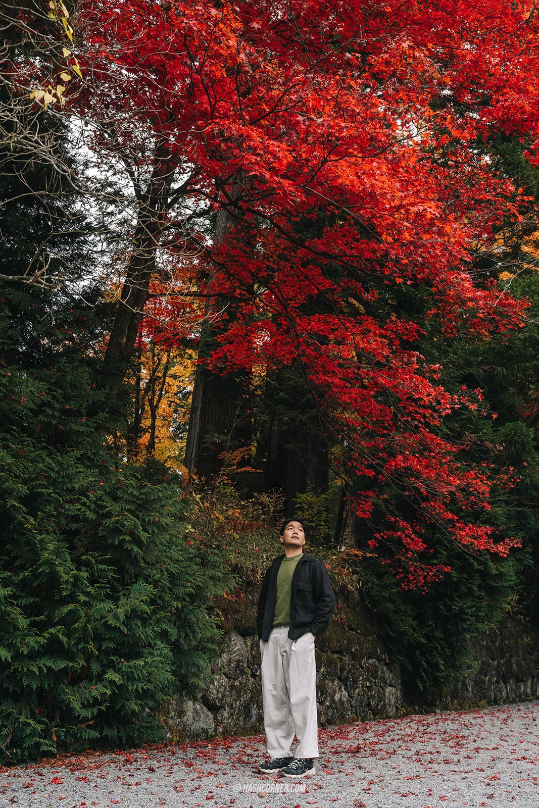 รีวิว นิกโก้ (Nikko) x ญี่ปุ่น เที่ยวเมืองเก่ามรดกโลก