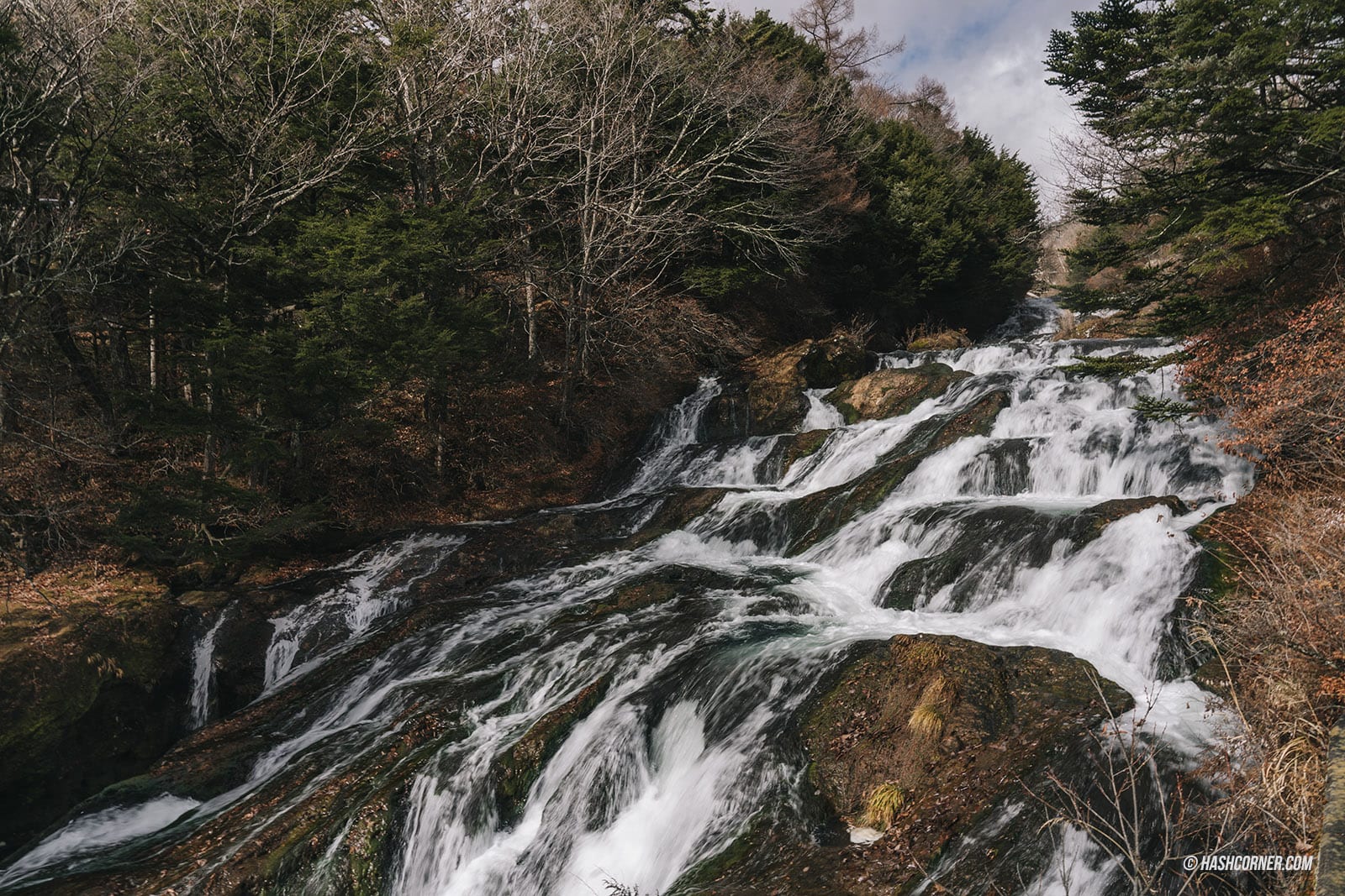 รีวิว นิกโก้ (Nikko) x ญี่ปุ่น เที่ยวเมืองเก่ามรดกโลก