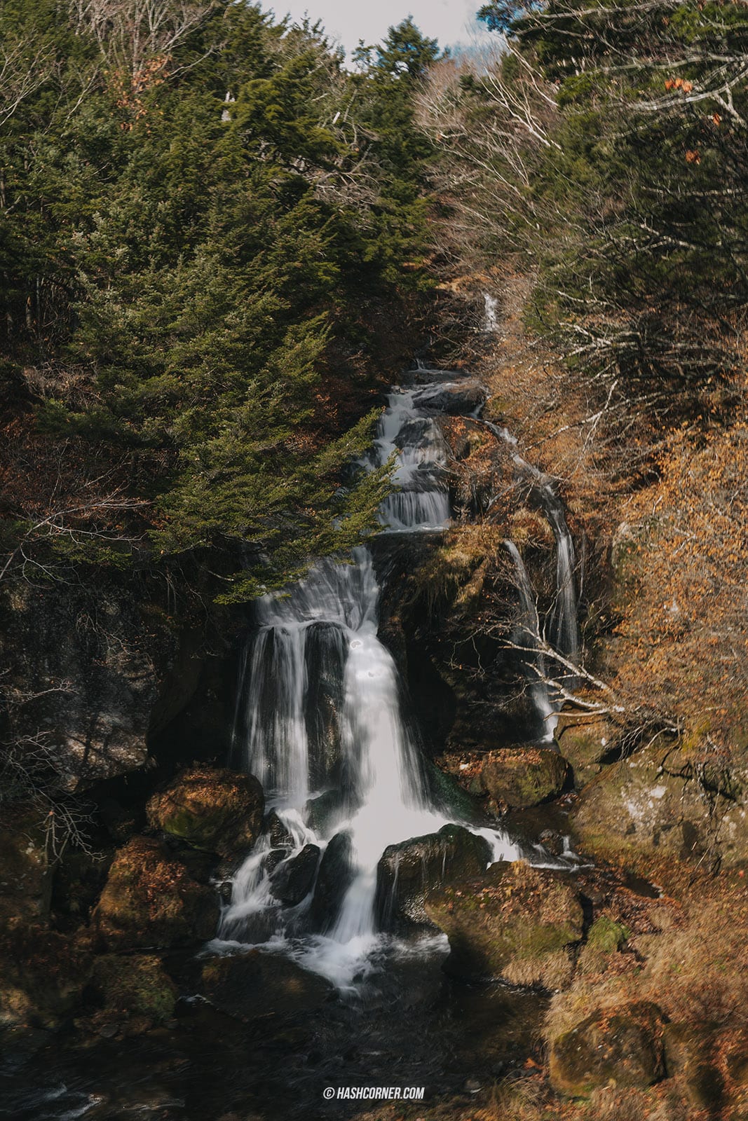 รีวิว นิกโก้ (Nikko) x ญี่ปุ่น เที่ยวเมืองเก่ามรดกโลก