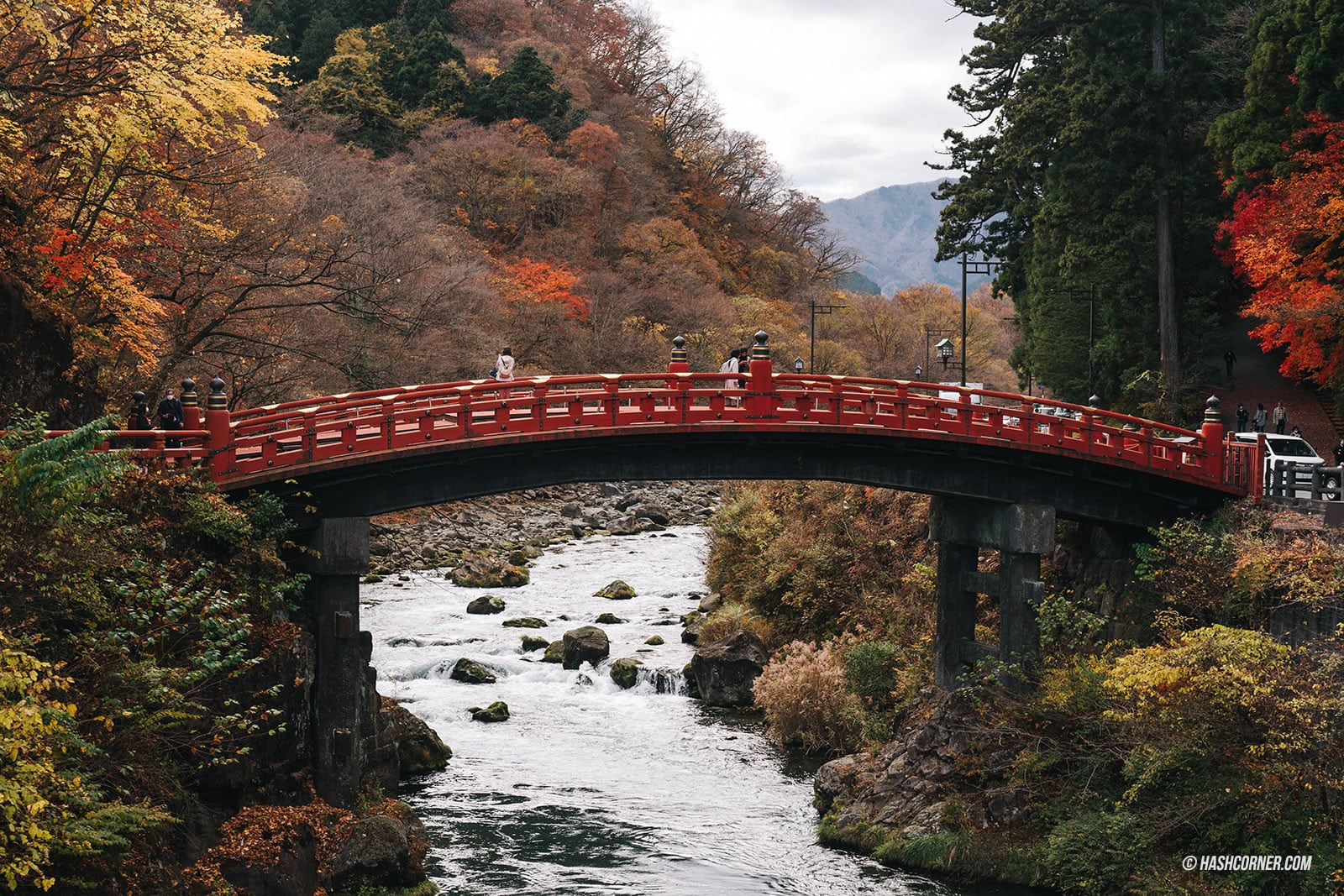 รีวิว นิกโก้ (Nikko) x ญี่ปุ่น เที่ยวเมืองเก่ามรดกโลก