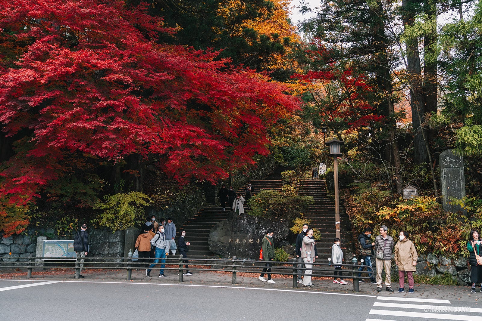 รีวิว วัดรินโนจิ (Rinnoji Temple) x นิกโก้ วัดมรดกโลก 1,250 ปี