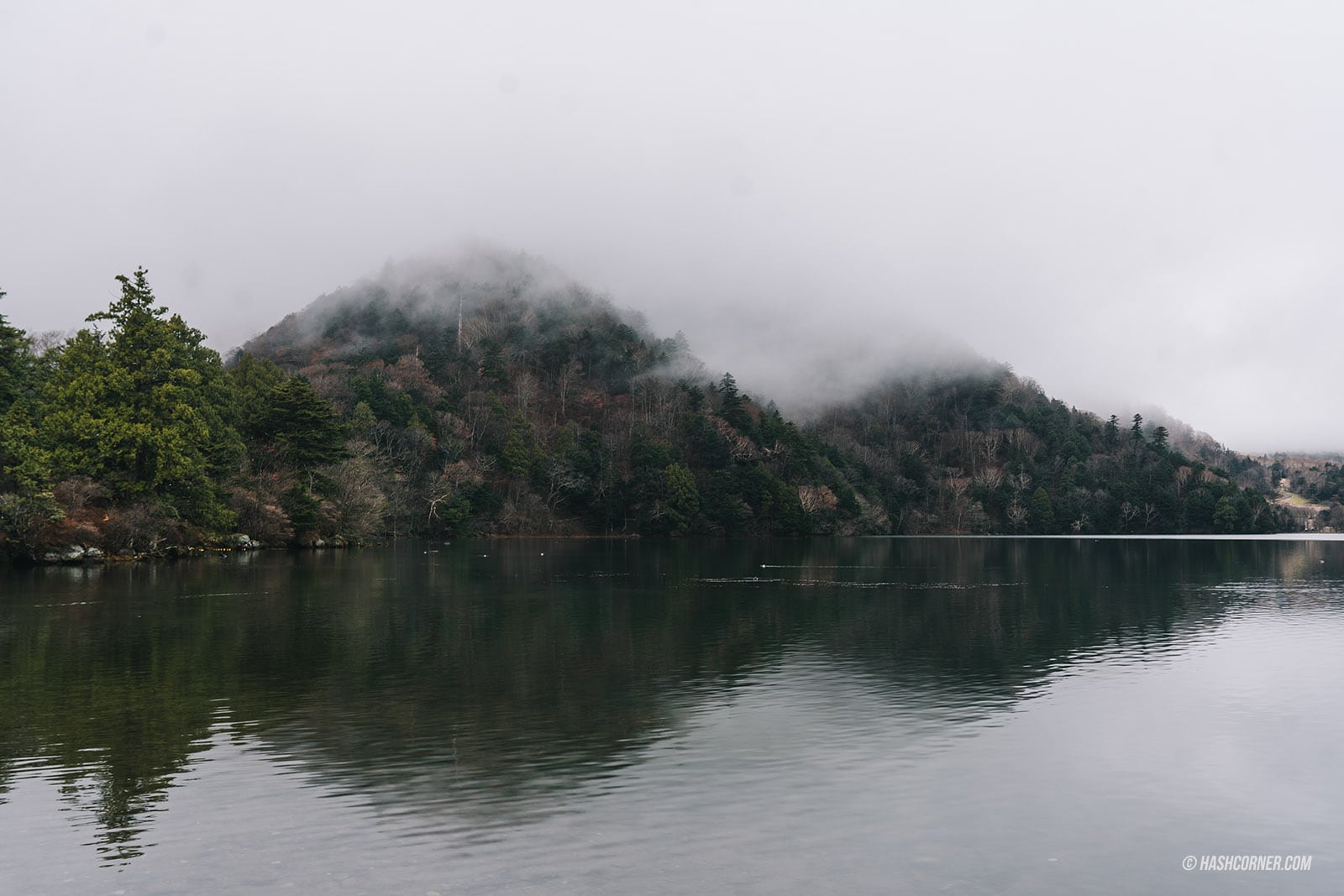 รีวิว นิกโก้ (Nikko) x ญี่ปุ่น เที่ยวเมืองเก่ามรดกโลก