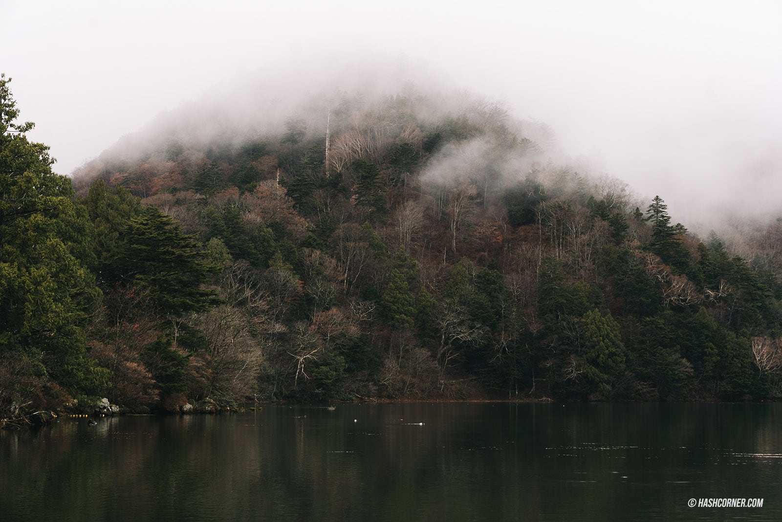 รีวิว นิกโก้ (Nikko) x ญี่ปุ่น เที่ยวเมืองเก่ามรดกโลก