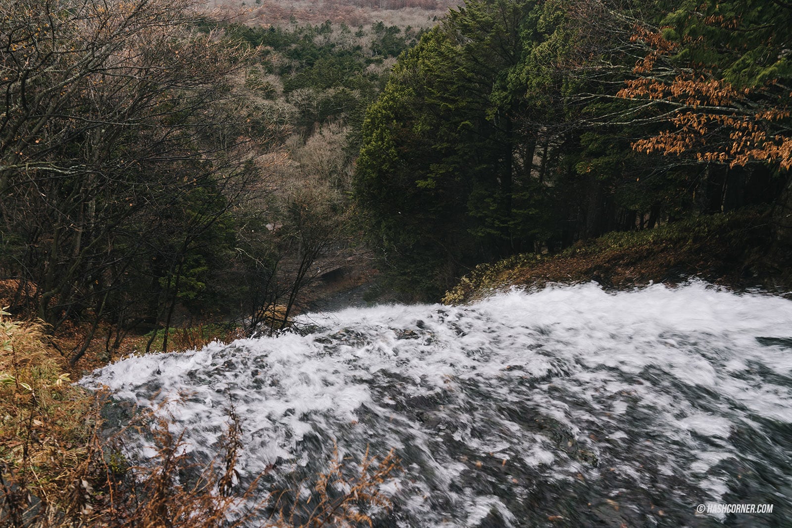 รีวิว นิกโก้ (Nikko) x ญี่ปุ่น เที่ยวเมืองเก่ามรดกโลก