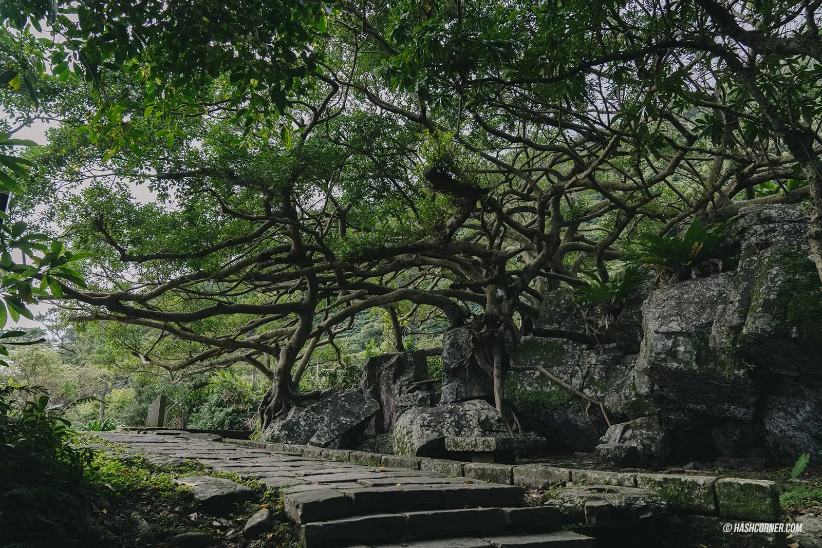 Yilan Travel Review: A Road Trip through Nature and Taipingshan