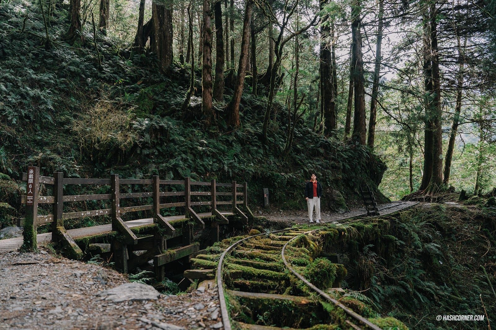 Yilan Travel Review: A Road Trip through Nature and Taipingshan