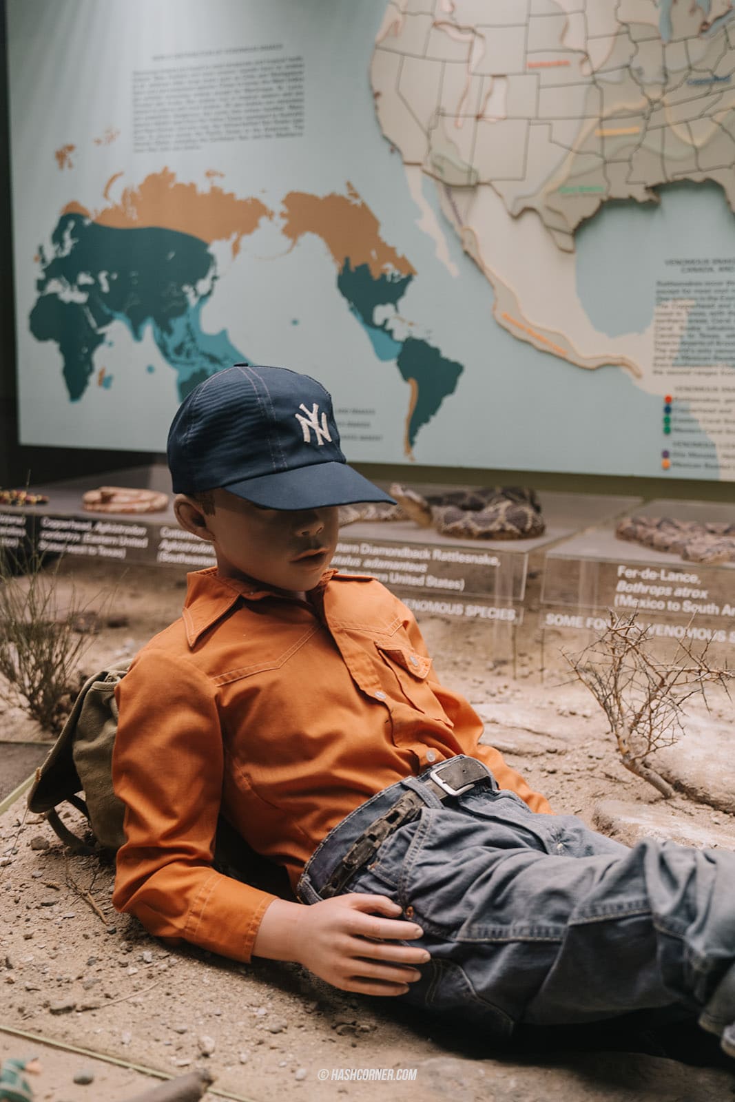 รีวิว American Museum of Natural History x นิวยอร์ก อเมริกา