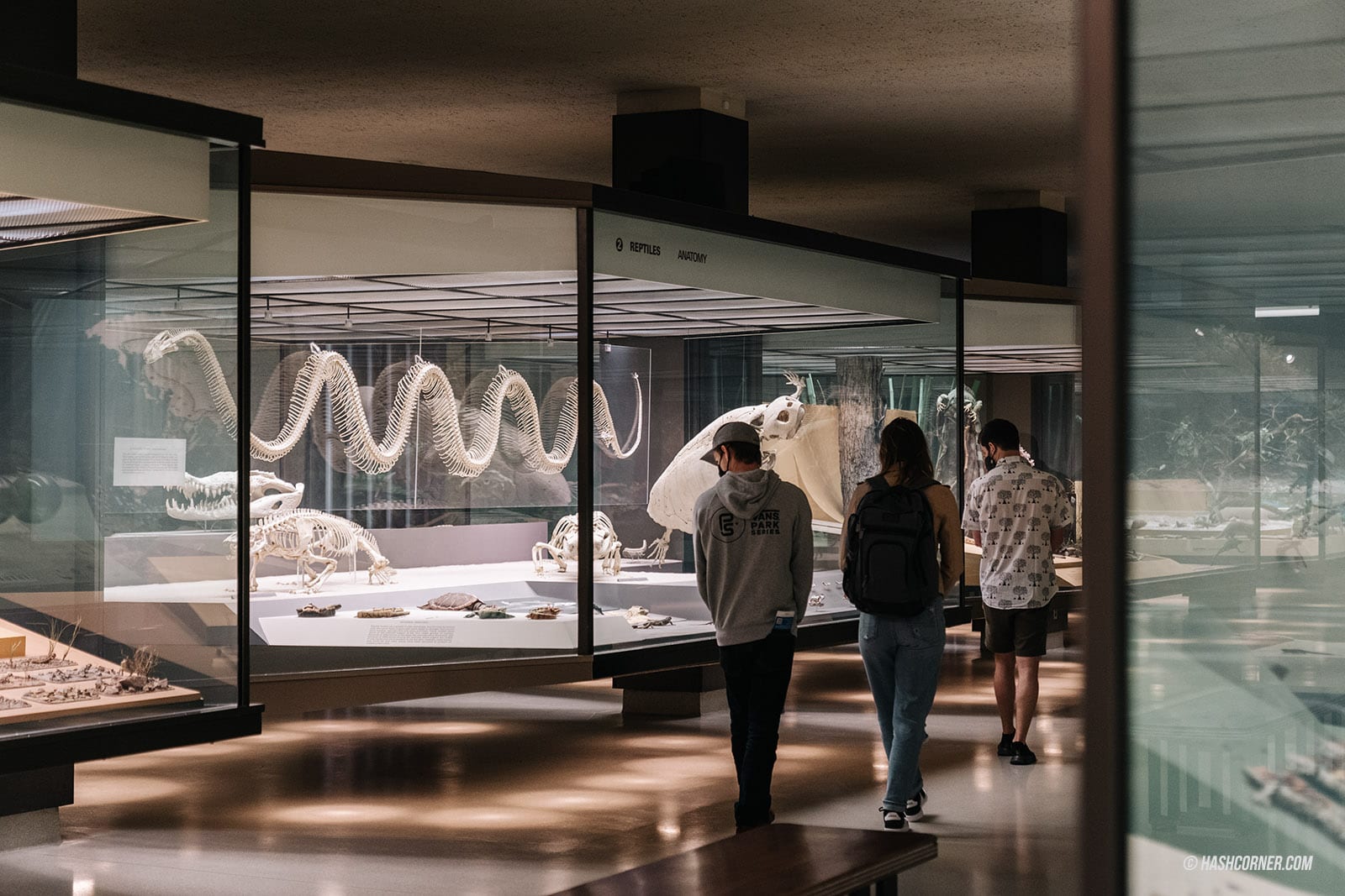 รีวิว American Museum of Natural History x นิวยอร์ก อเมริกา